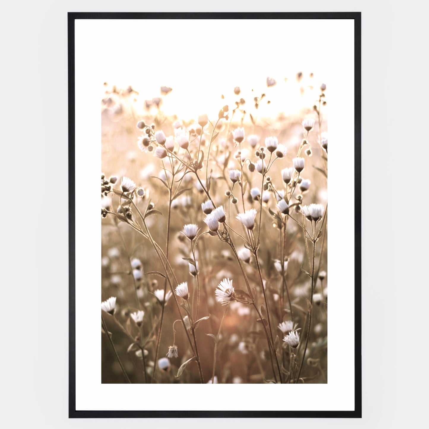 Boho poster with a photo of meadow flowers