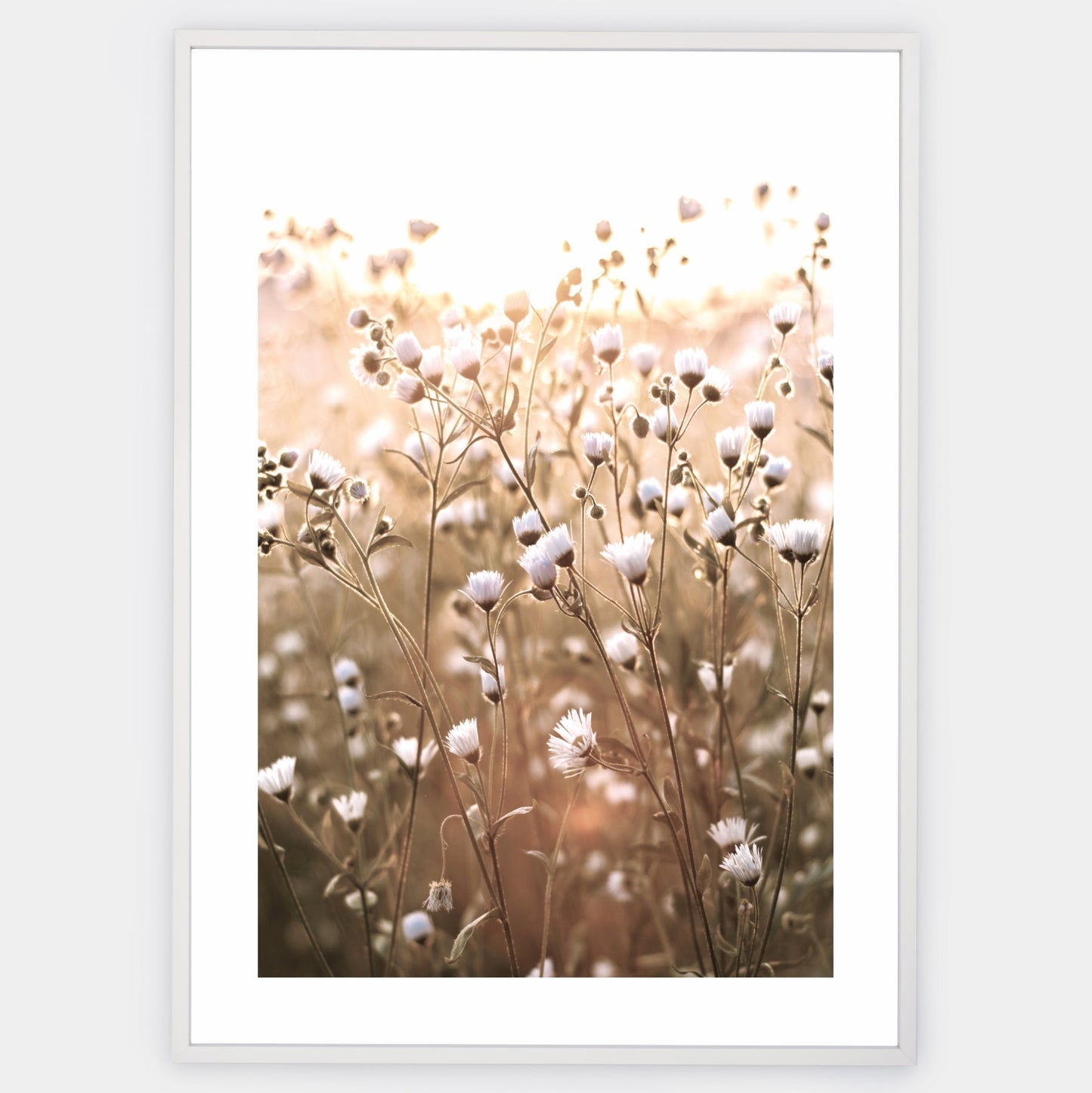 Boho poster with a photo of meadow flowers