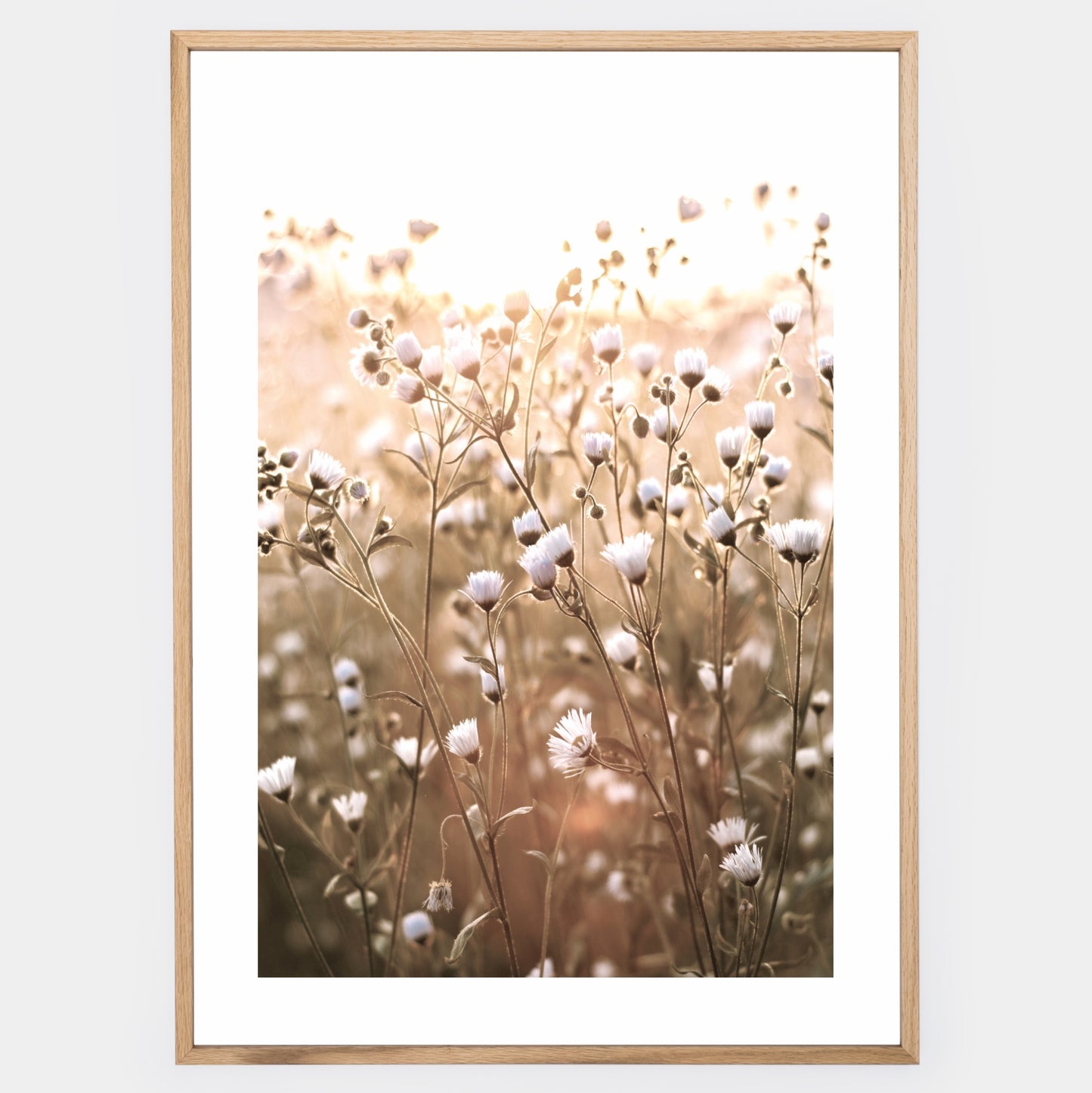 Boho poster with a photo of meadow flowers