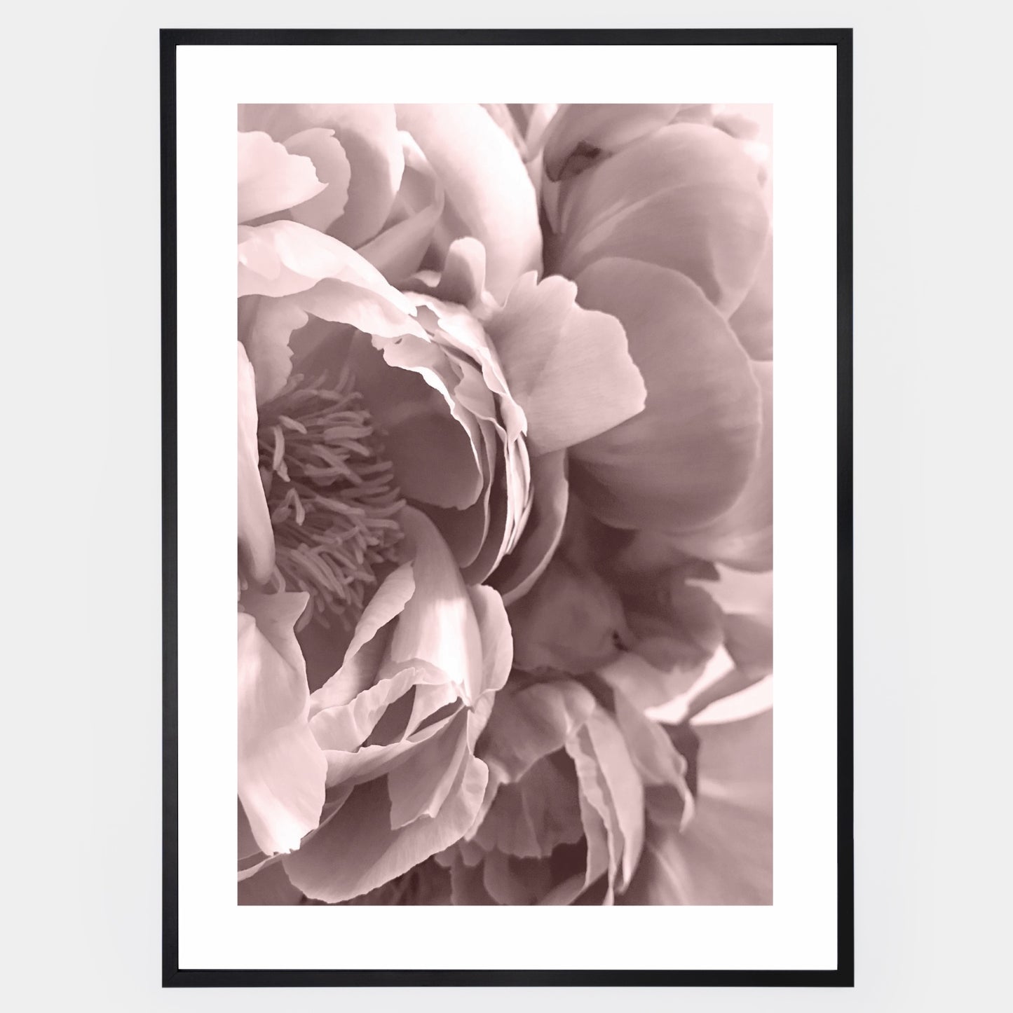 Boho poster with a photo of a peony flower