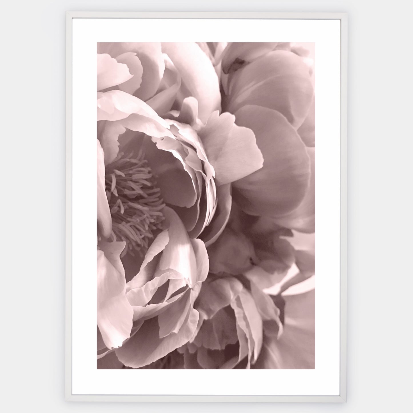 Boho poster with a photo of a peony flower