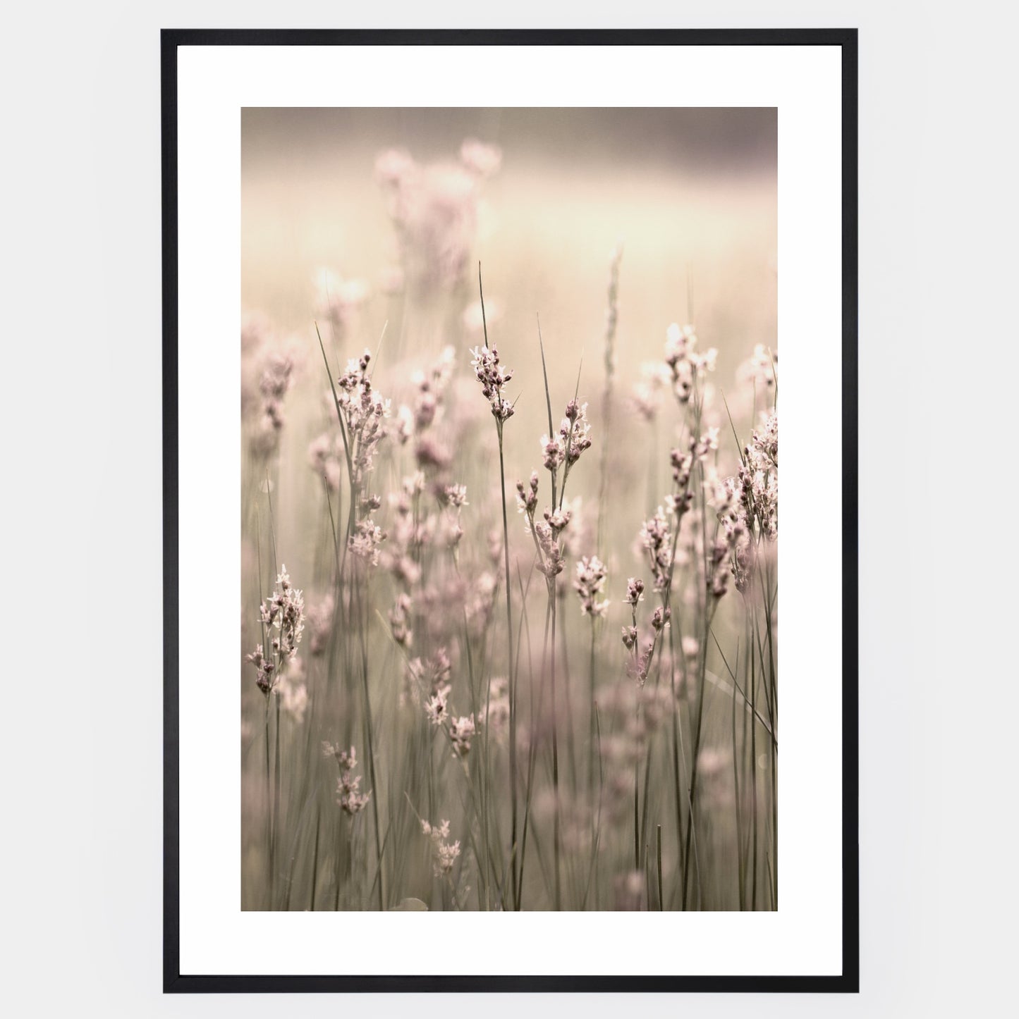 Boho poster with a photo of flowering grass