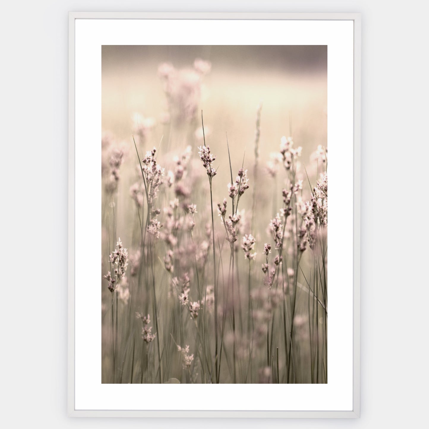 Boho poster with a photo of flowering grass