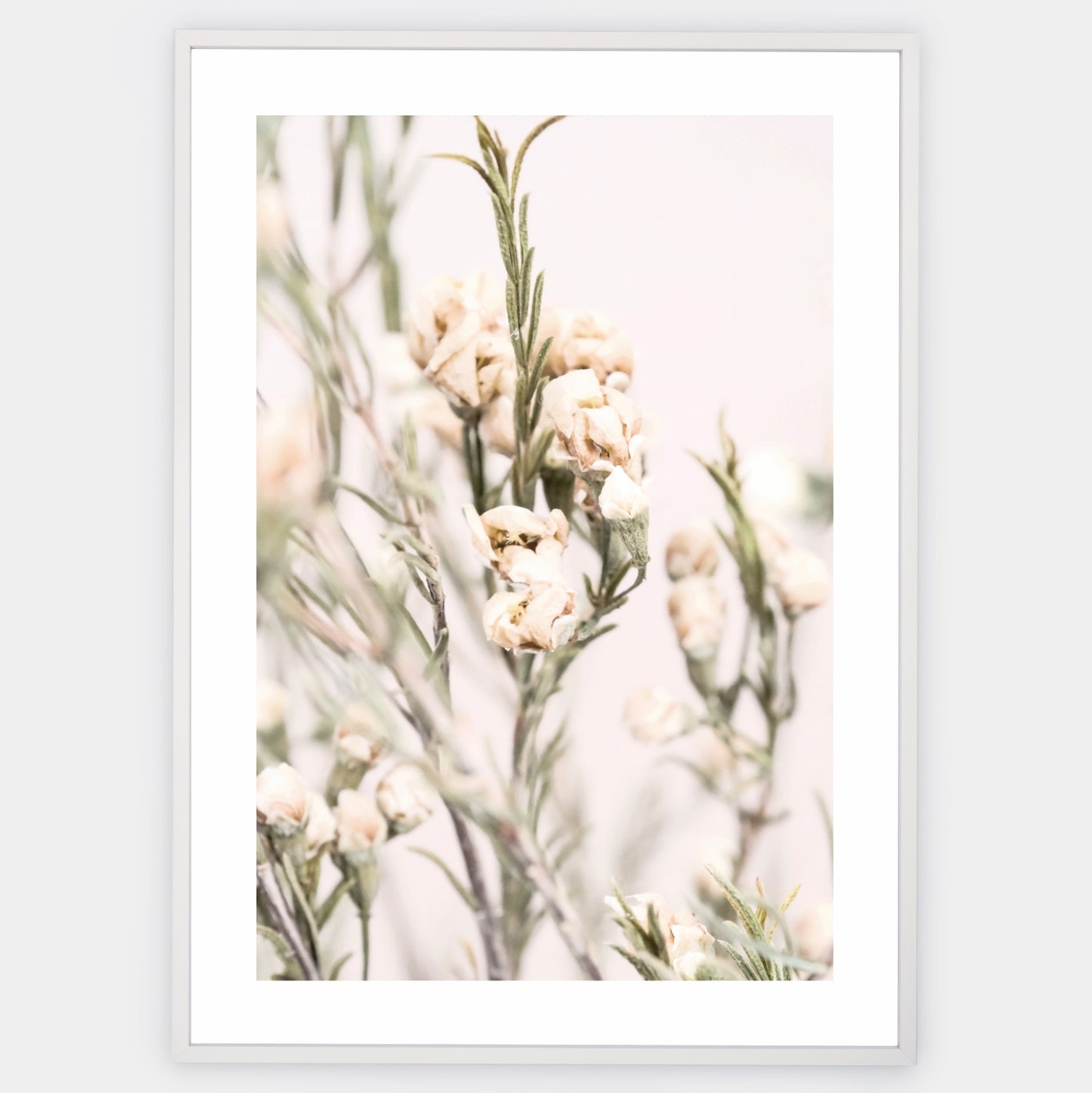 Boho poster with a photo of a meadow