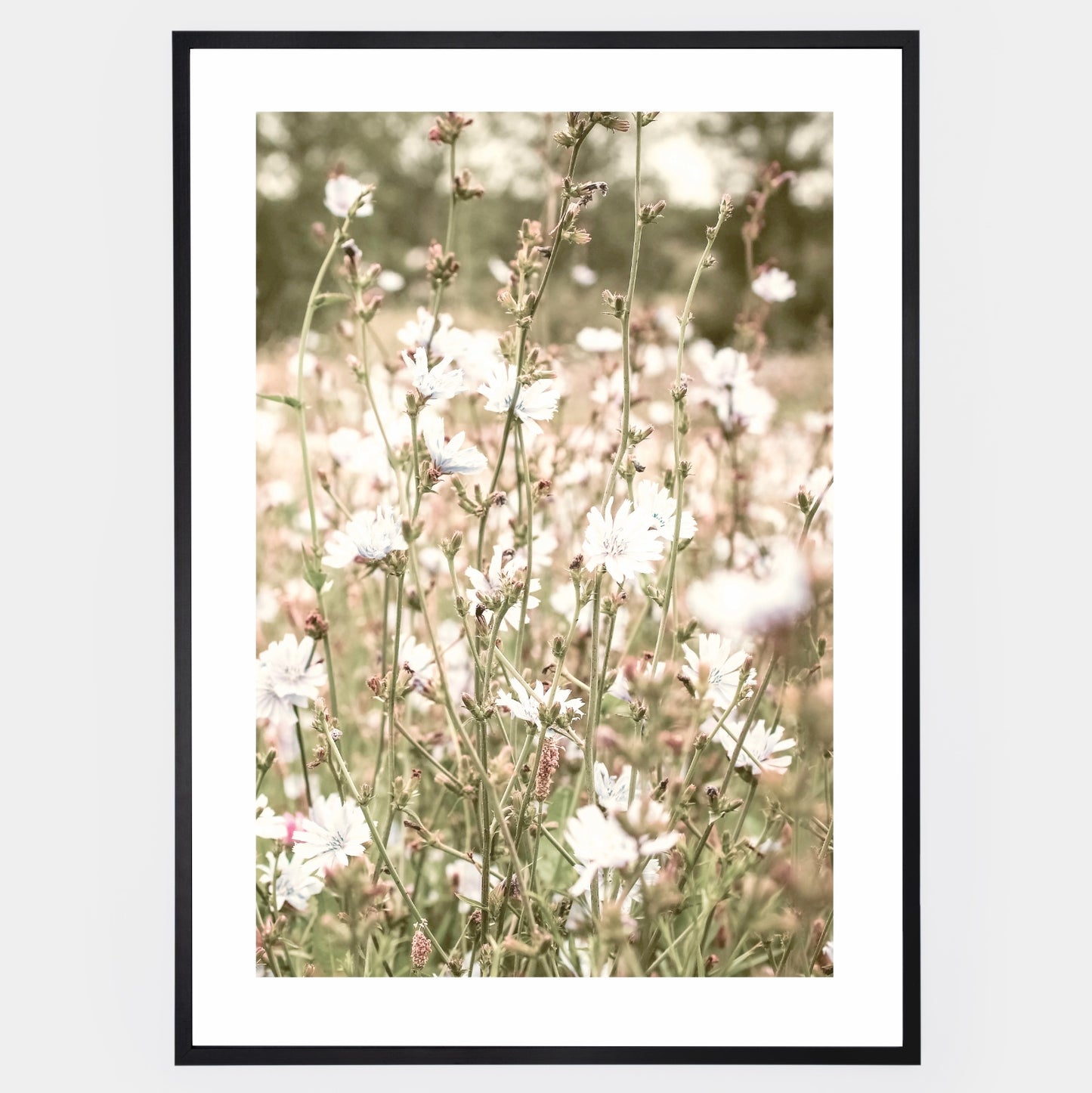 Boho plakát s fotografií kvetoucí louky