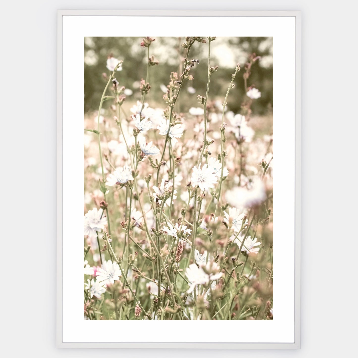 Boho plakát s fotografií kvetoucí louky