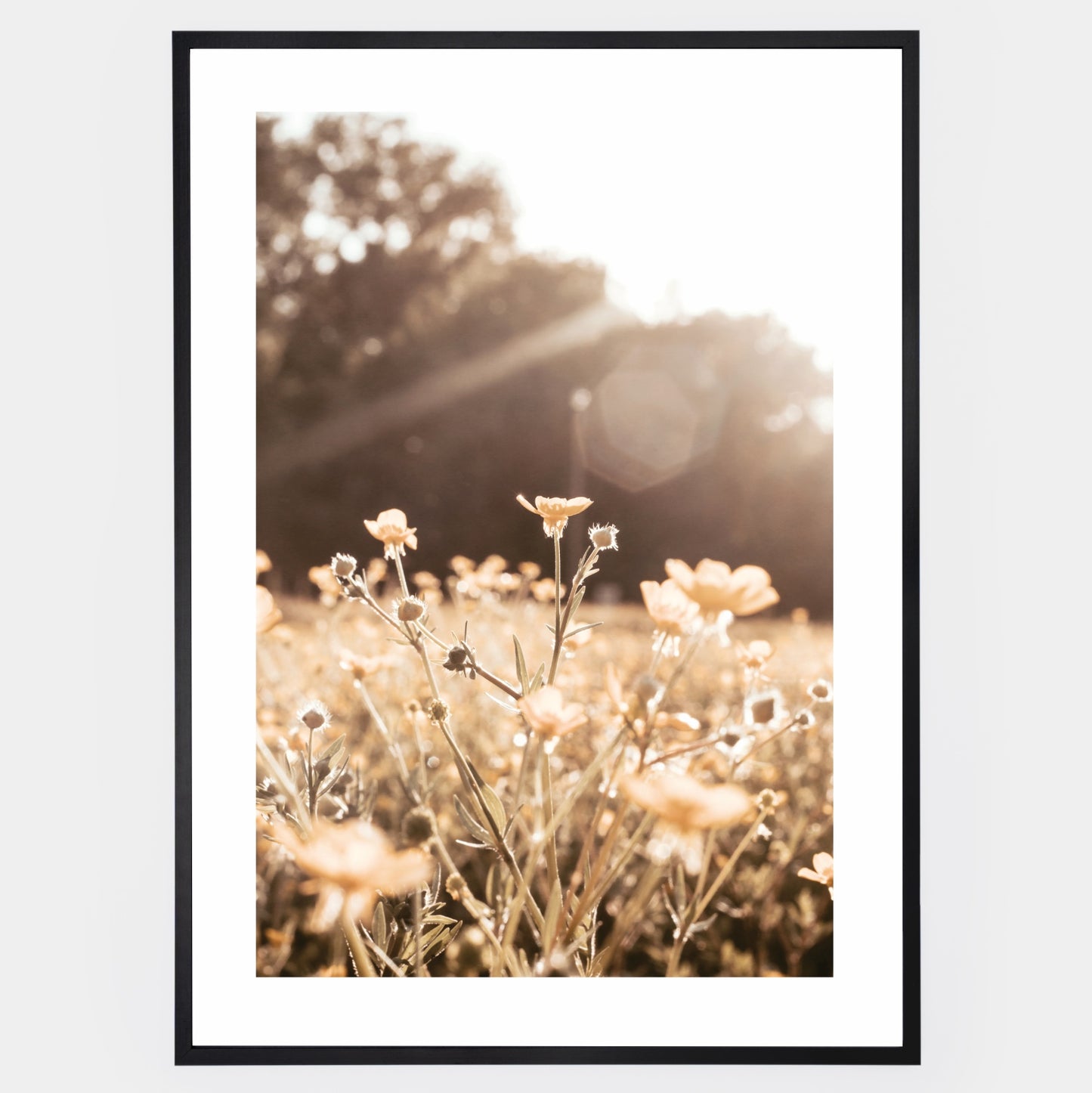 Boho poster with a photo of meadow flowers at sunset