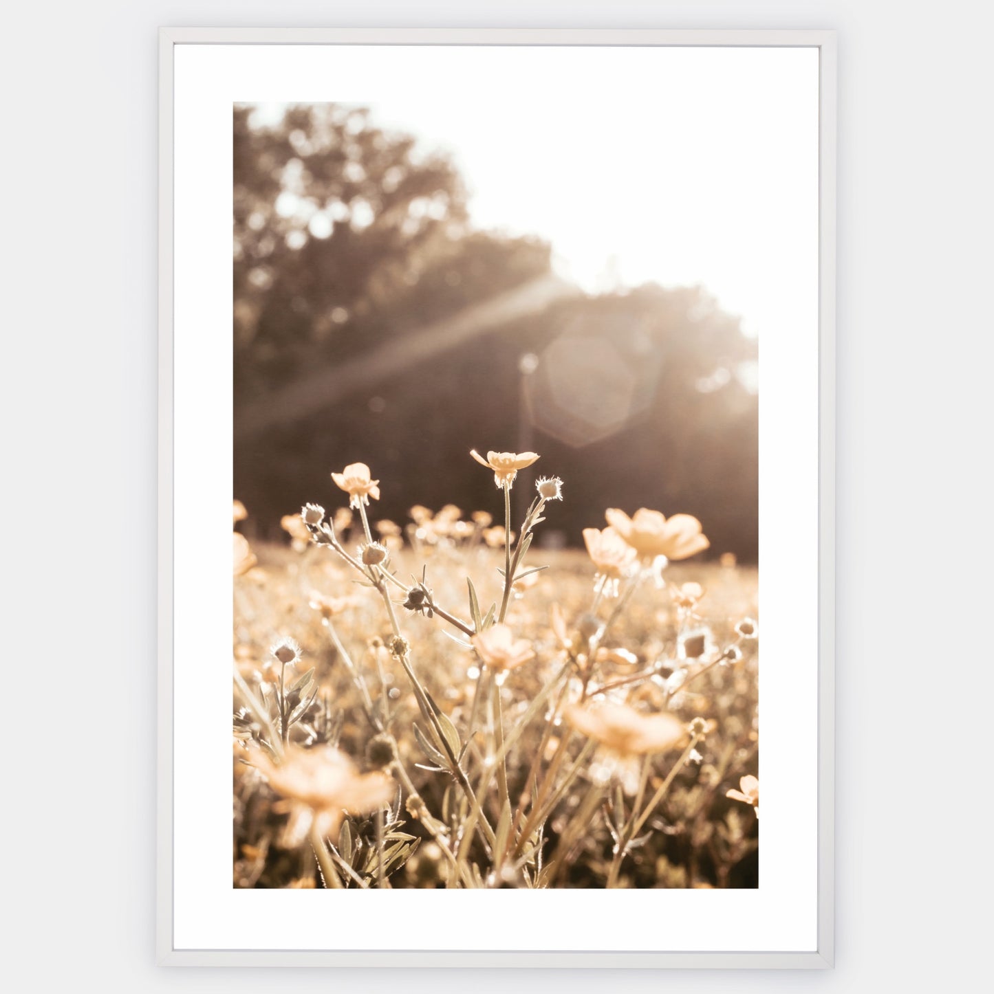 Boho poster with a photo of meadow flowers at sunset