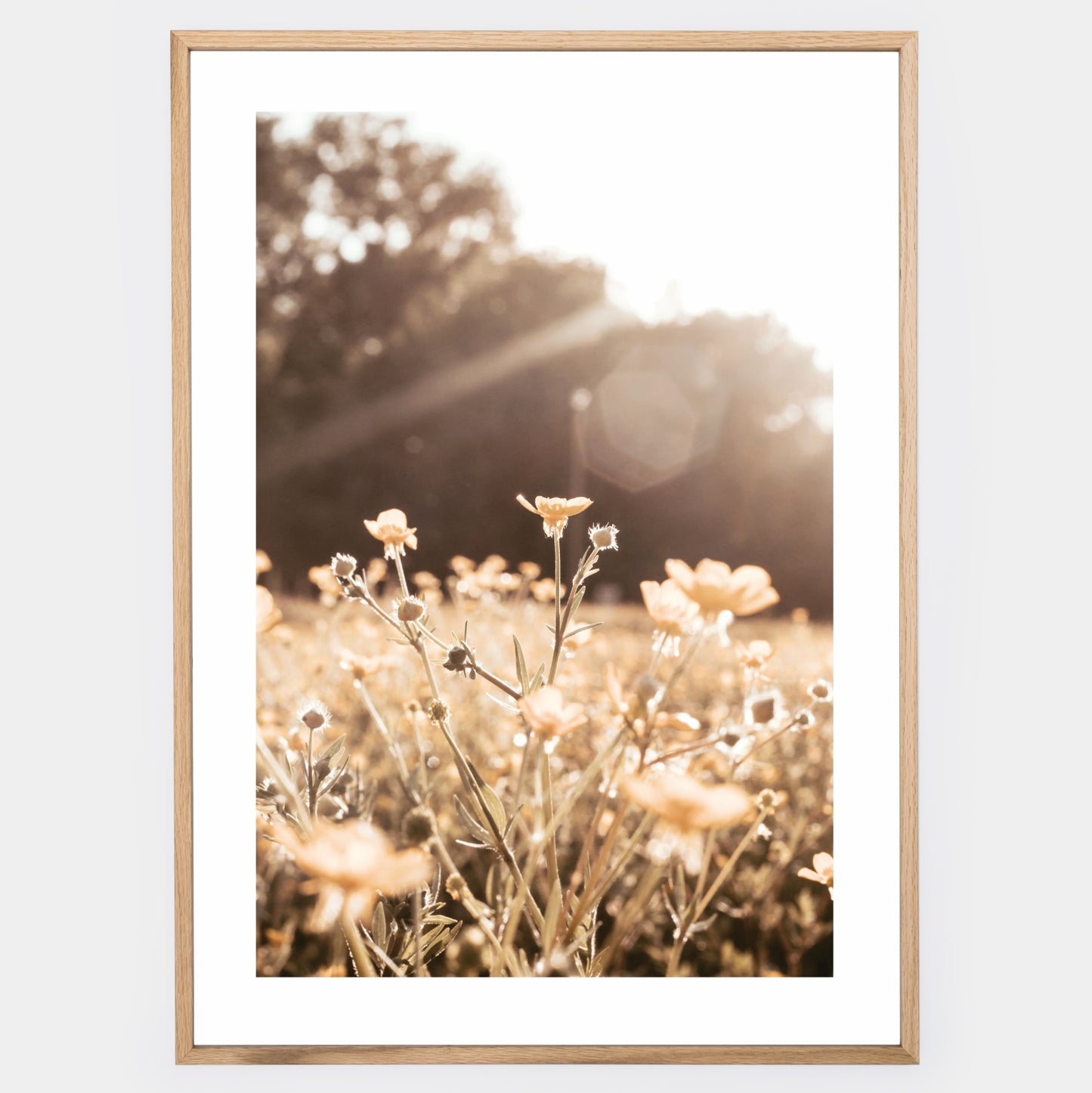 Boho poster with a photo of meadow flowers at sunset