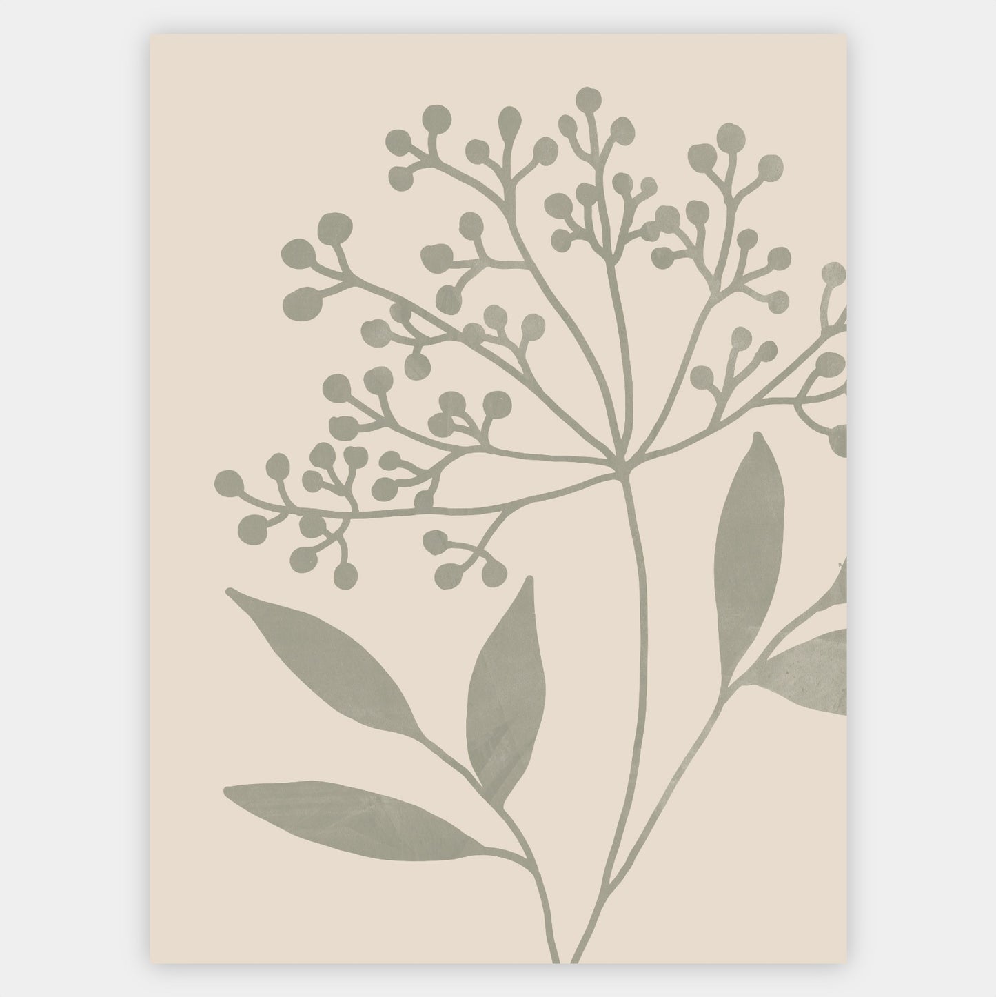 Boho Poster with Herbs Graphics