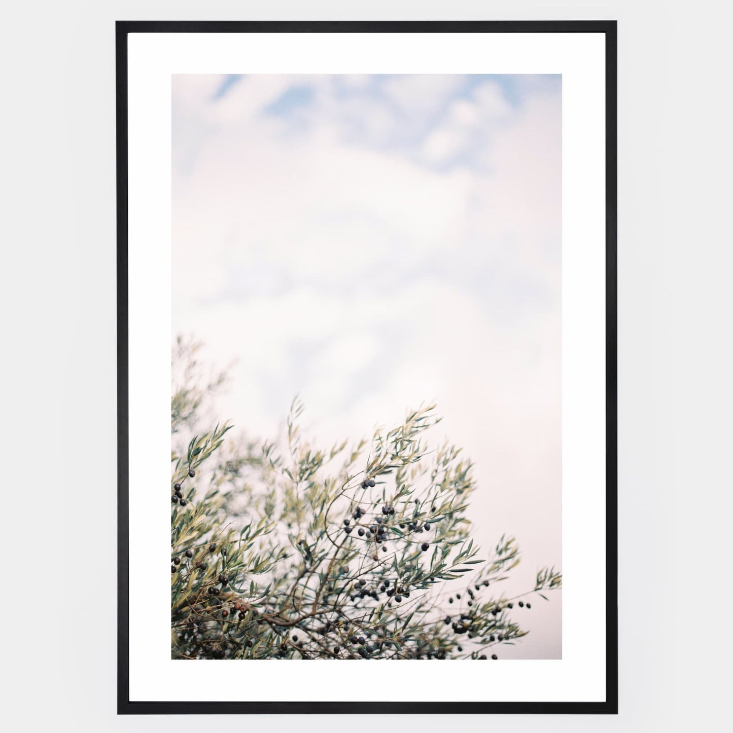 Olive Dreams I poster