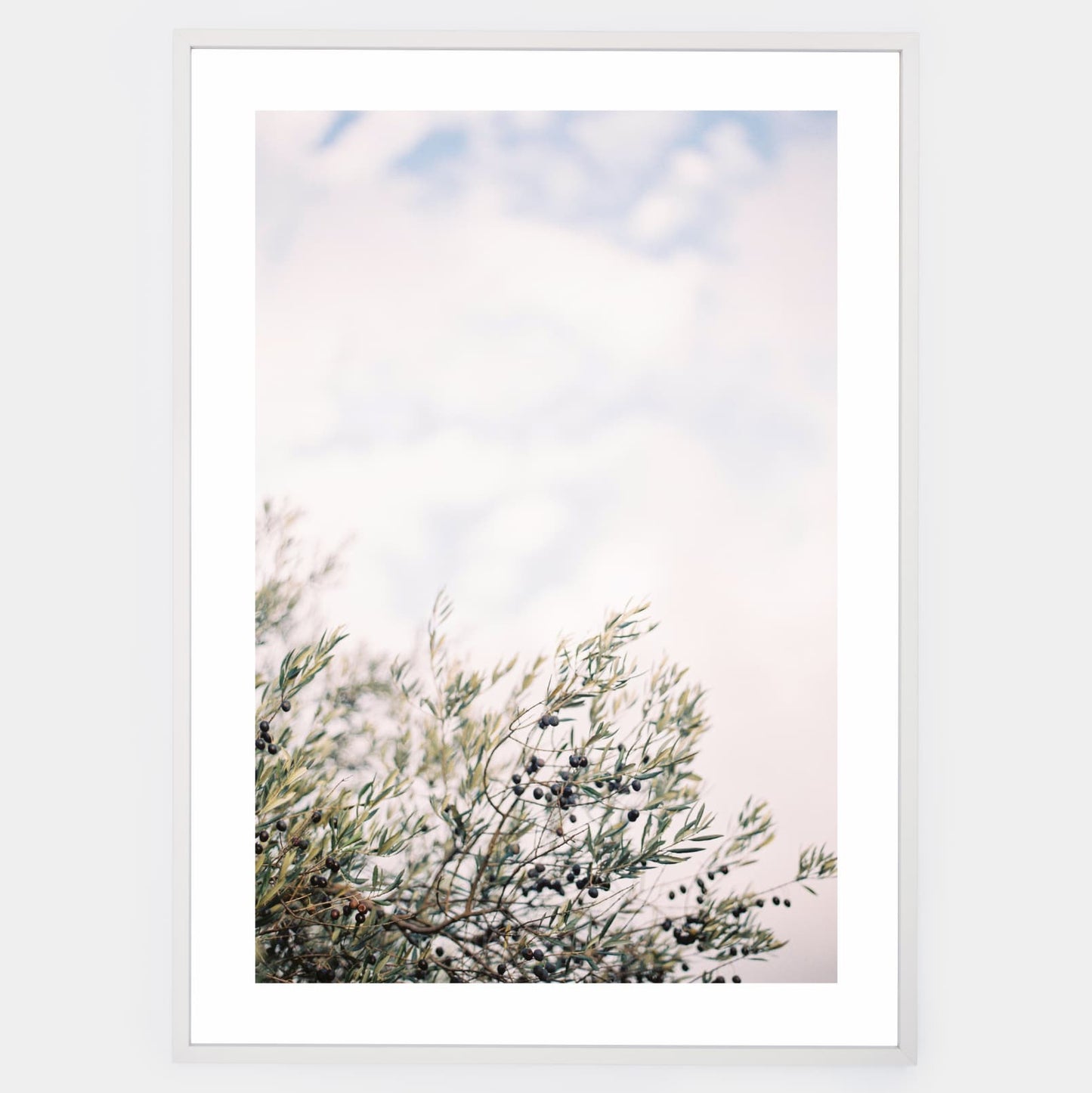 Olive Dreams I poster