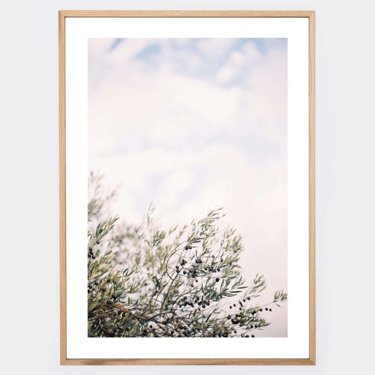 Olive Dreams I poster