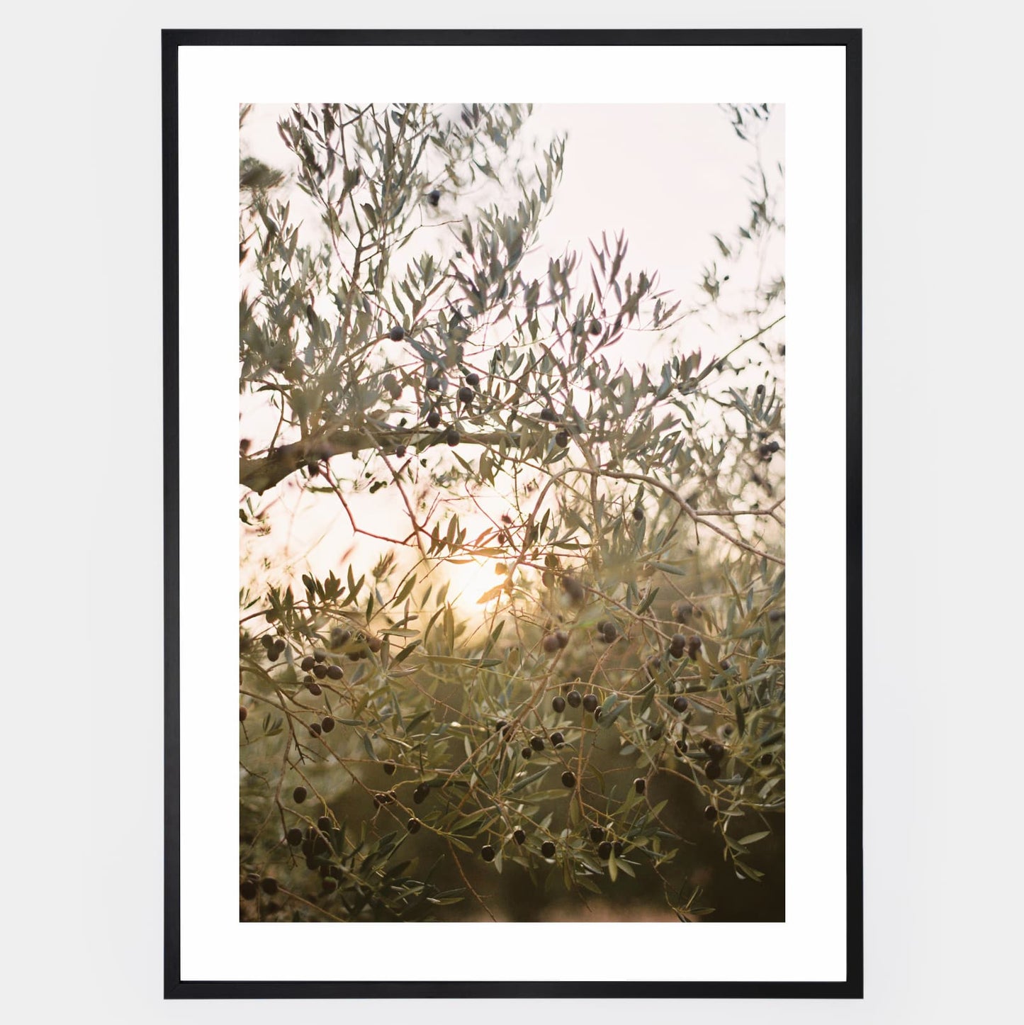 Olive Dreams II poster
