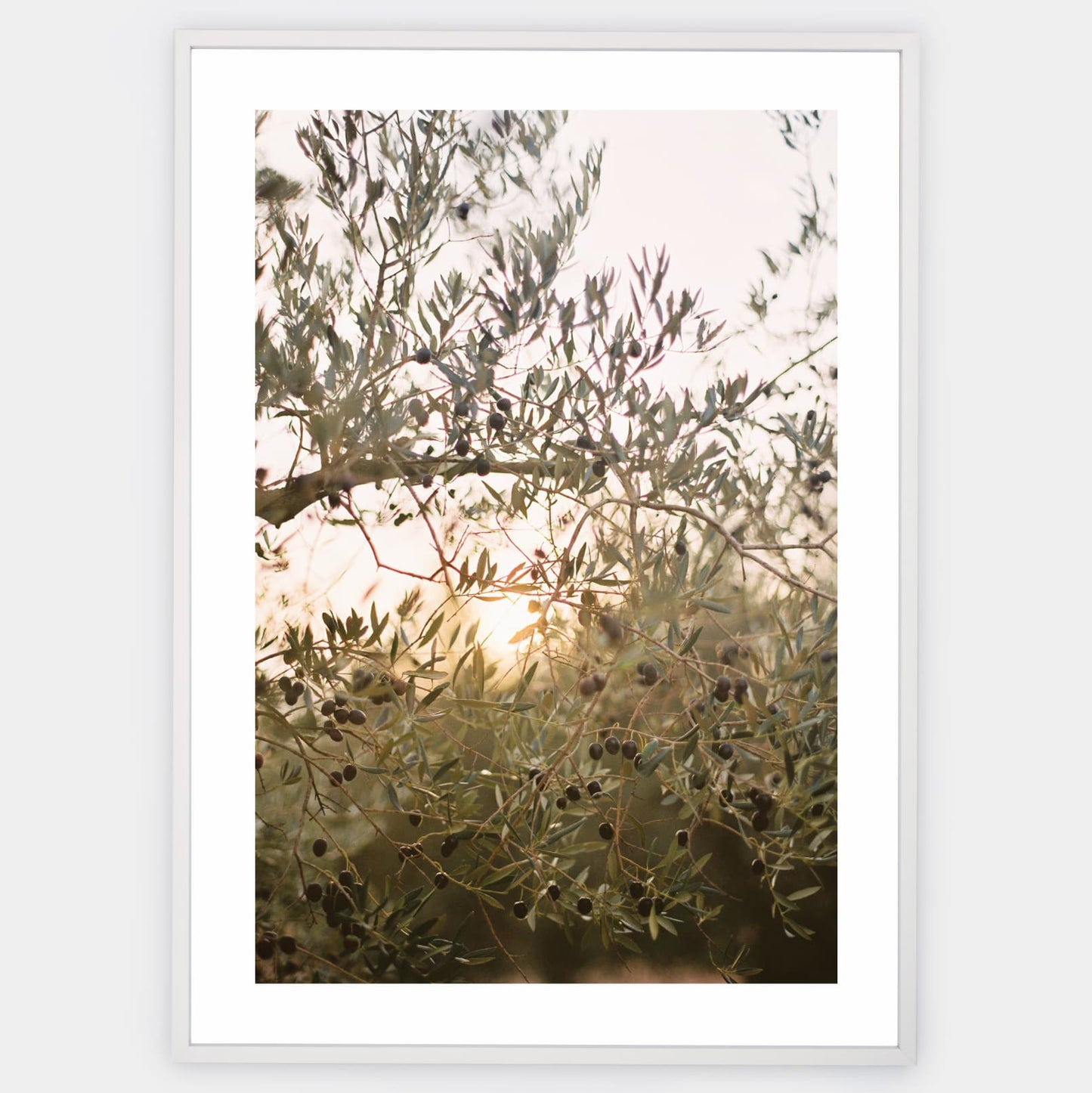 Olive Dreams II poster