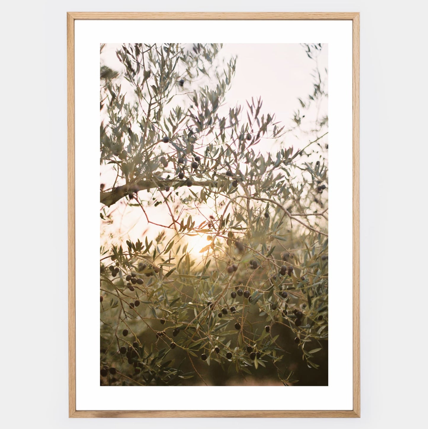 Olive Dreams II poster
