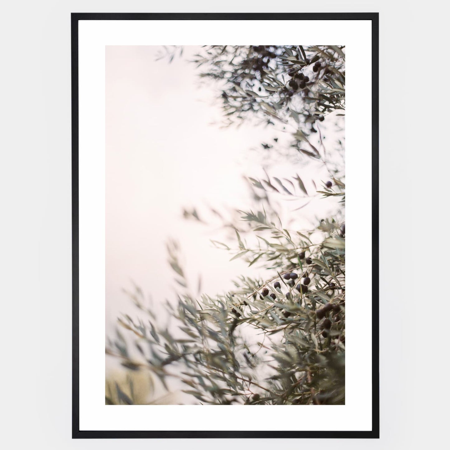 Olive Dreams III poster