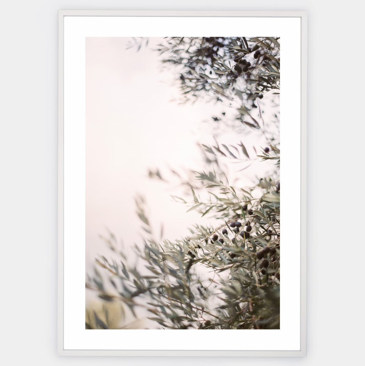 Olive Dreams III poster