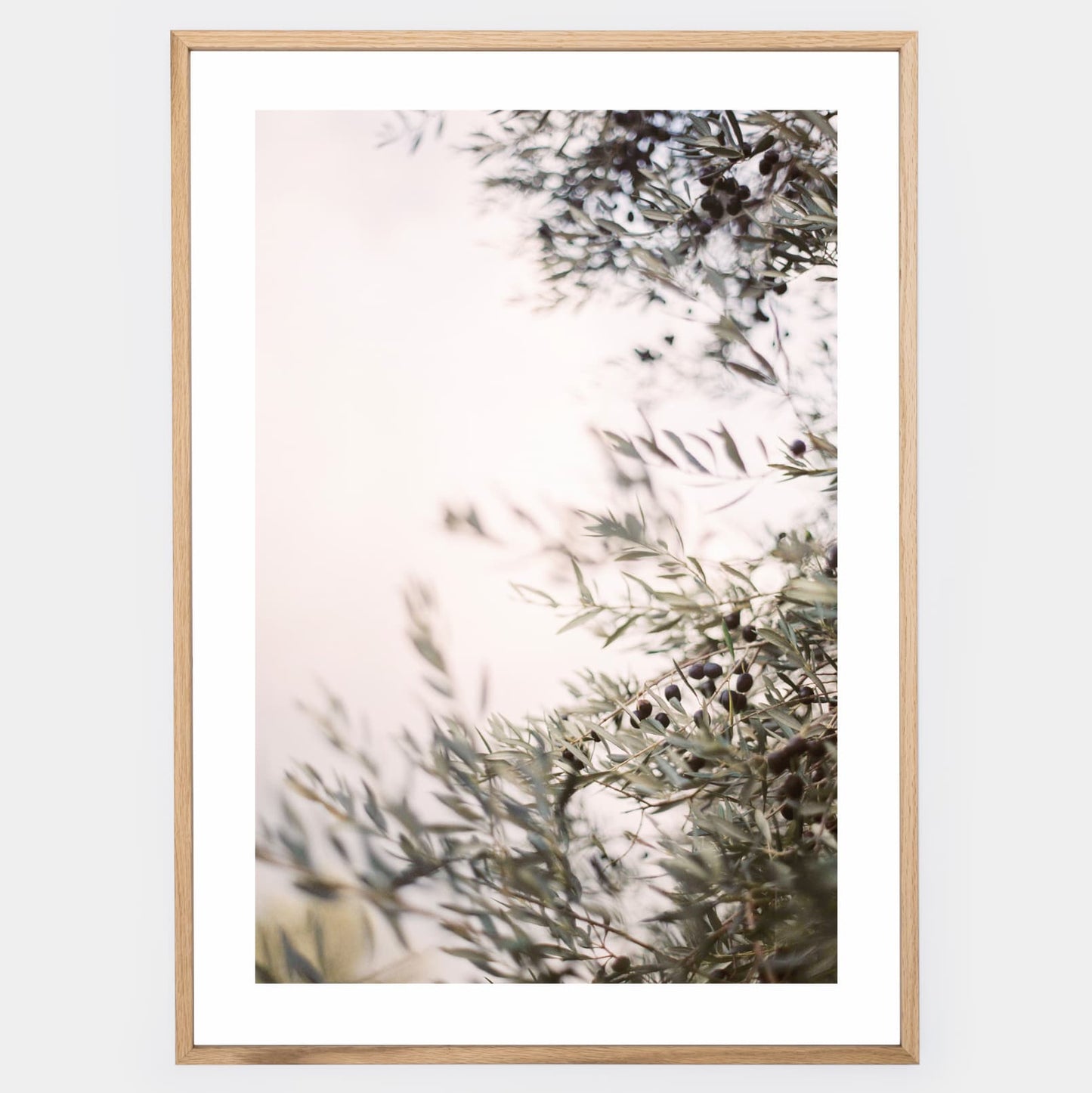 Olive Dreams III poster
