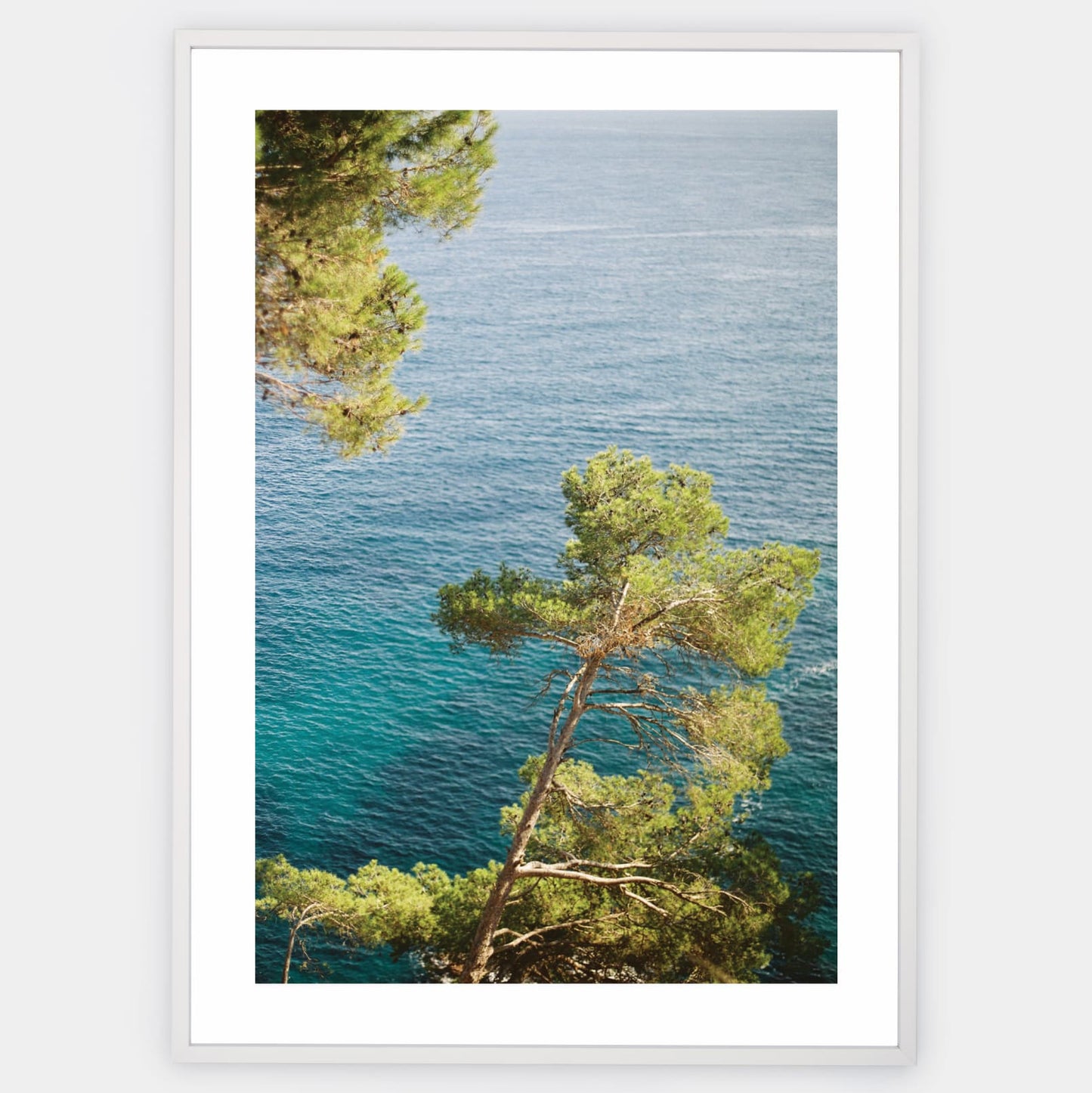 Sea Guardians poster