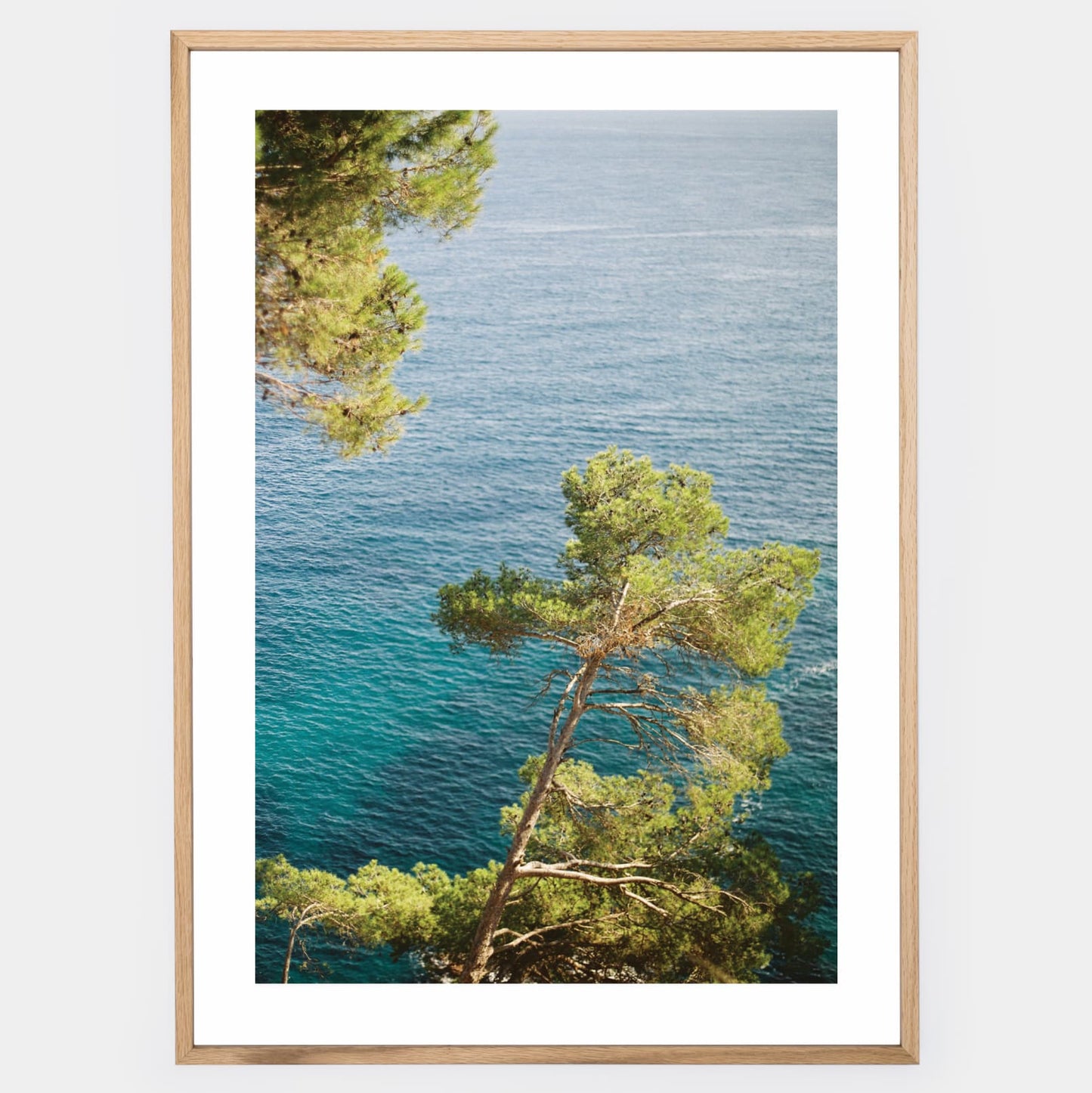 Sea Guardians poster