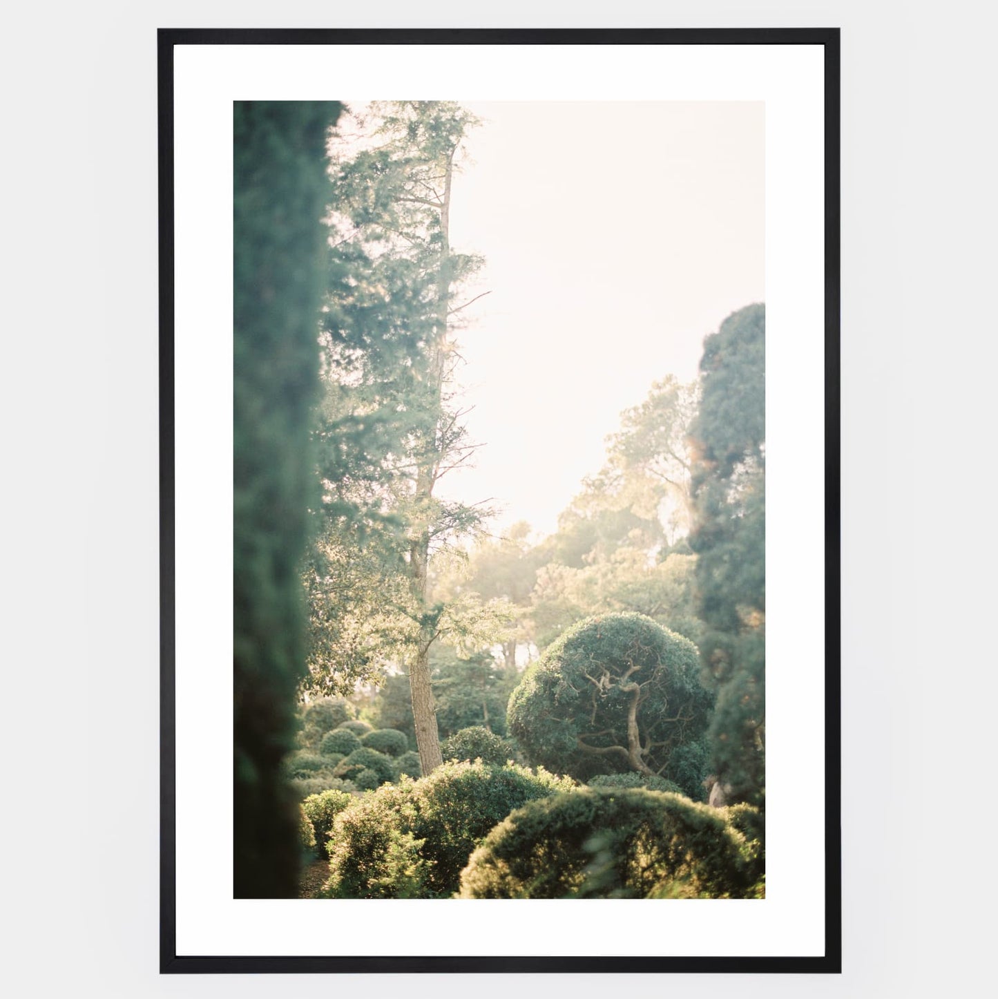 Secrets of the Cap Roig Gardens