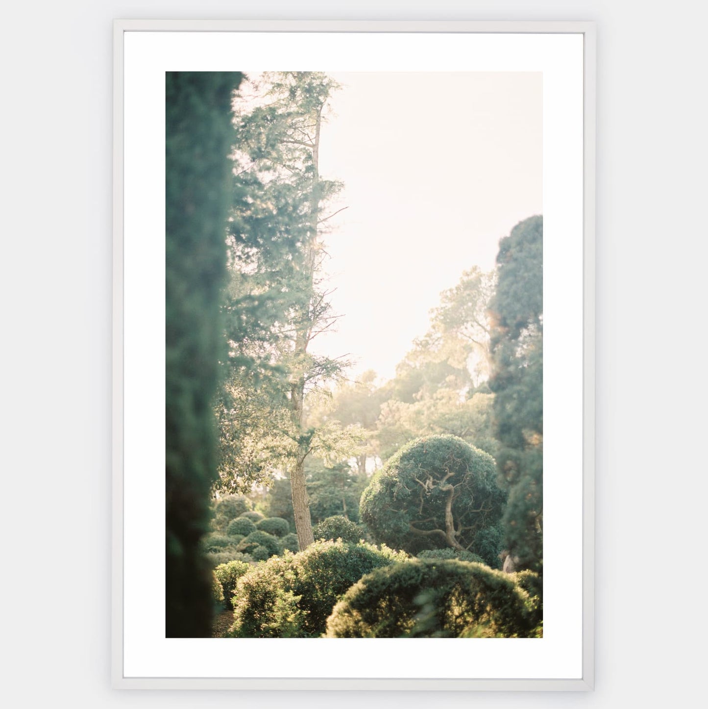 Secrets of the Cap Roig Gardens