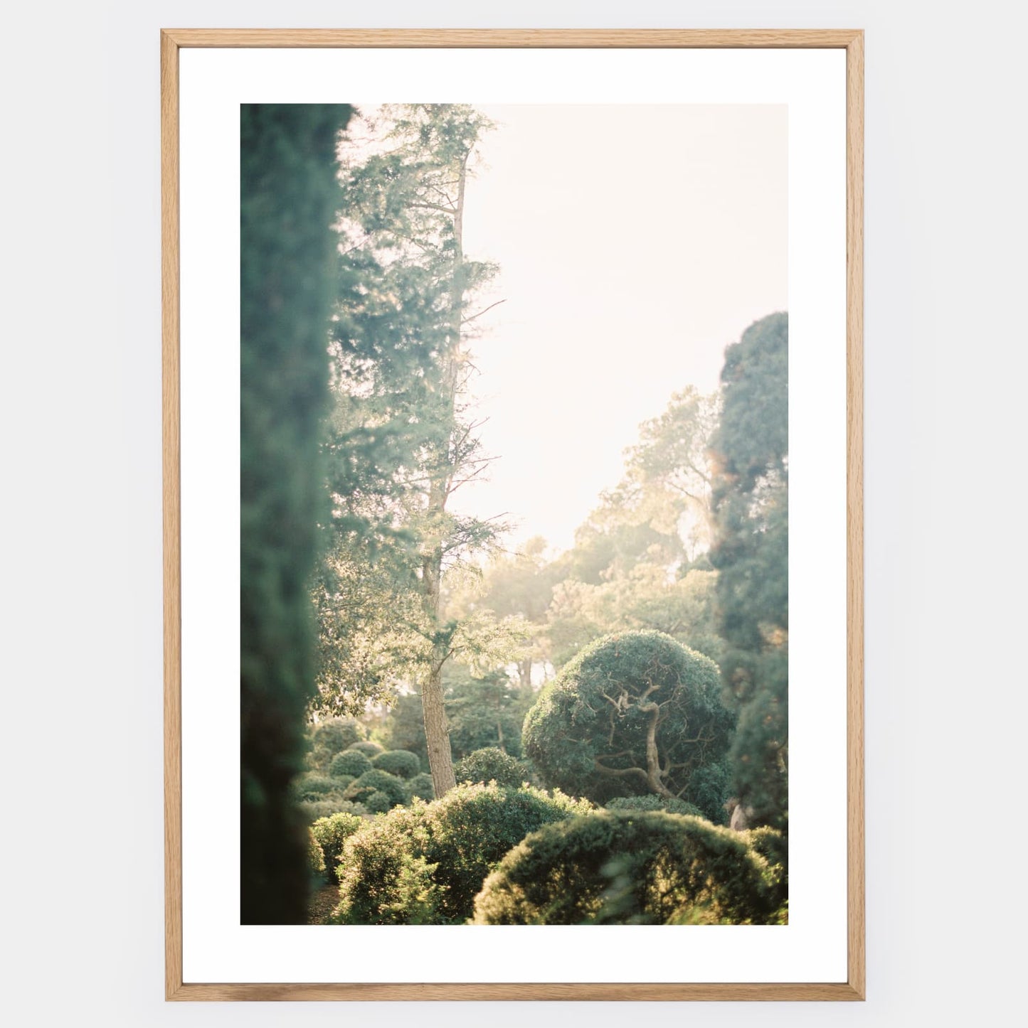 Secrets of the Cap Roig Gardens