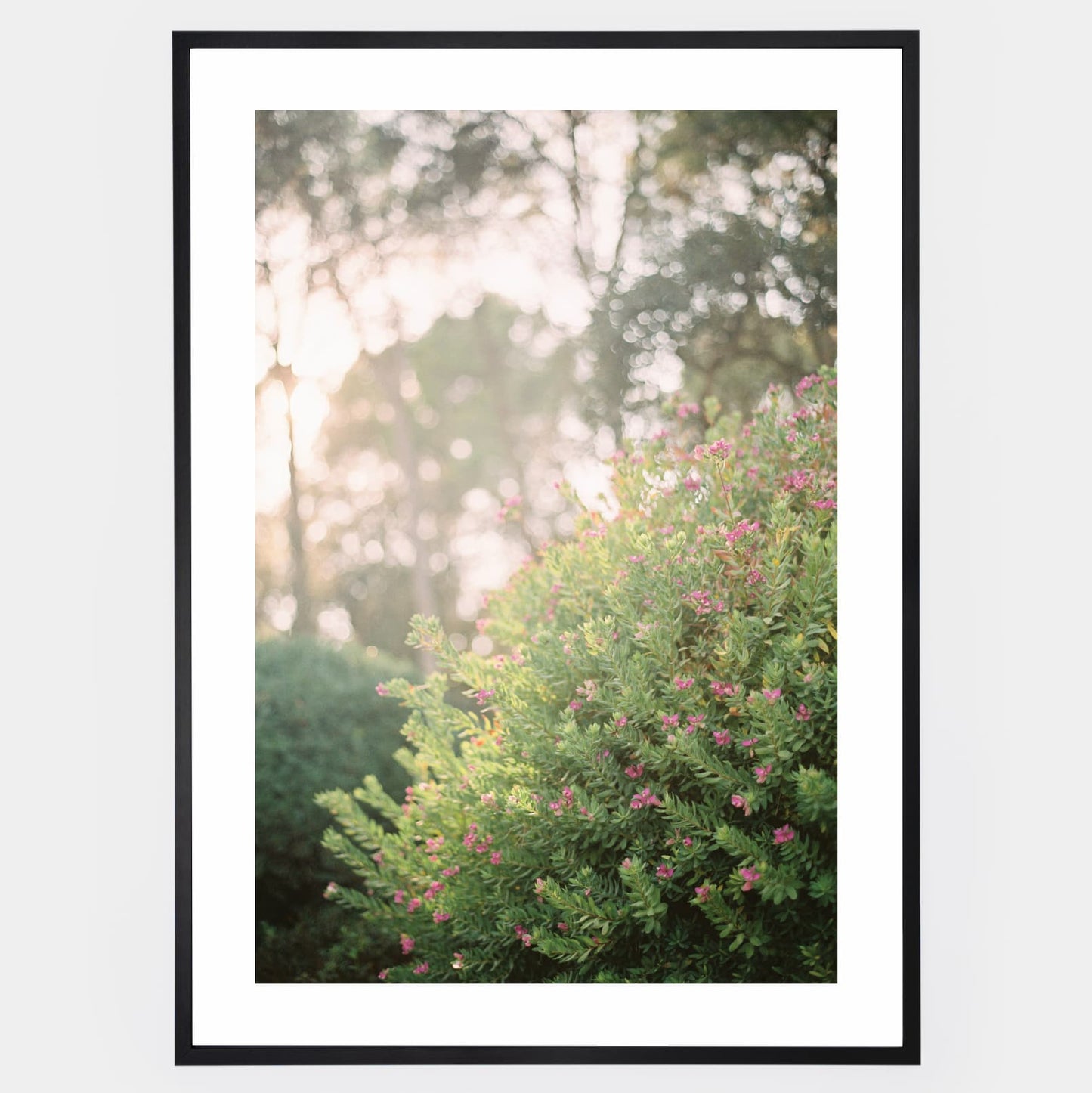 Blooming Dreams Poster