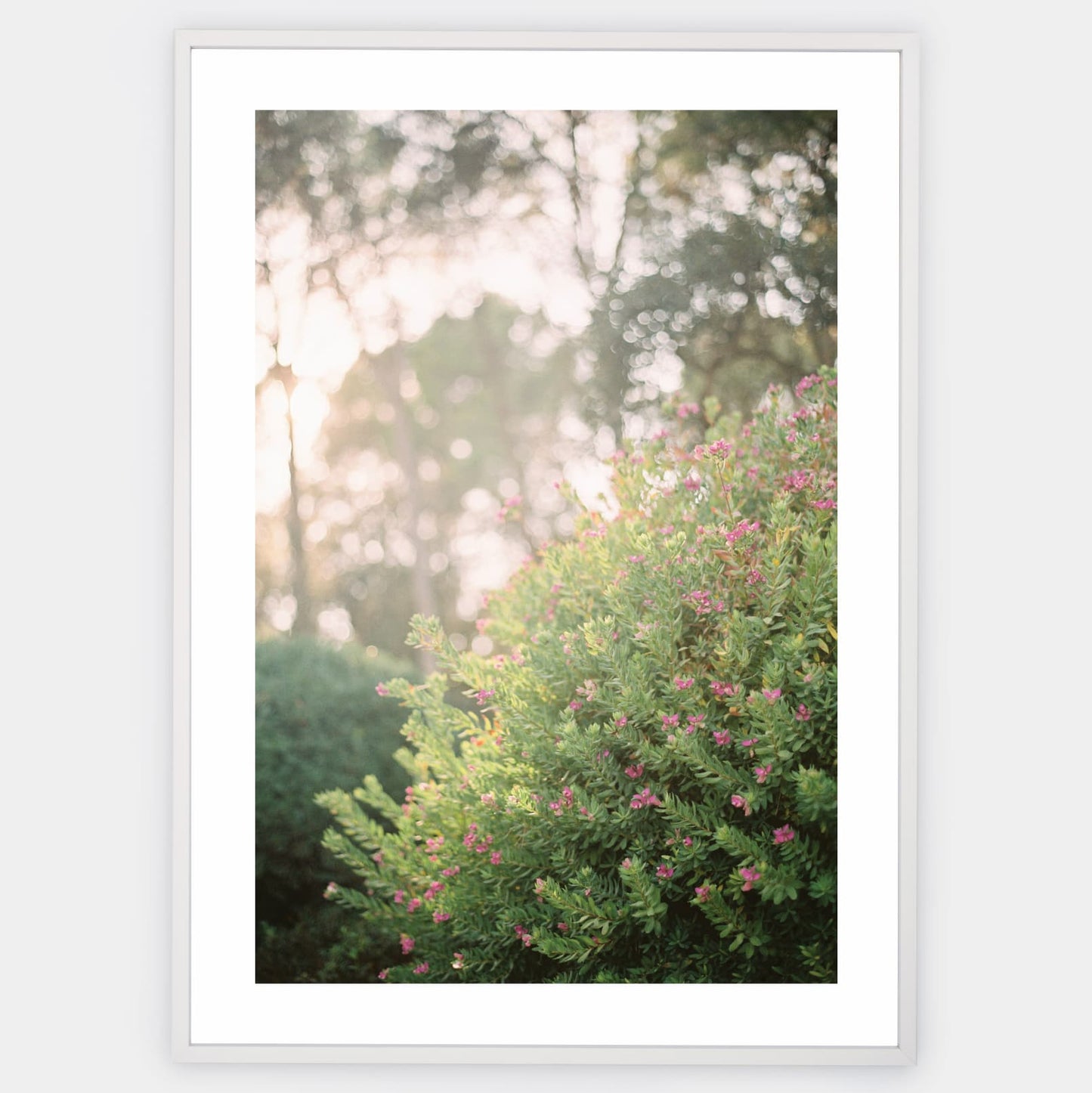 Blooming Dreams Poster