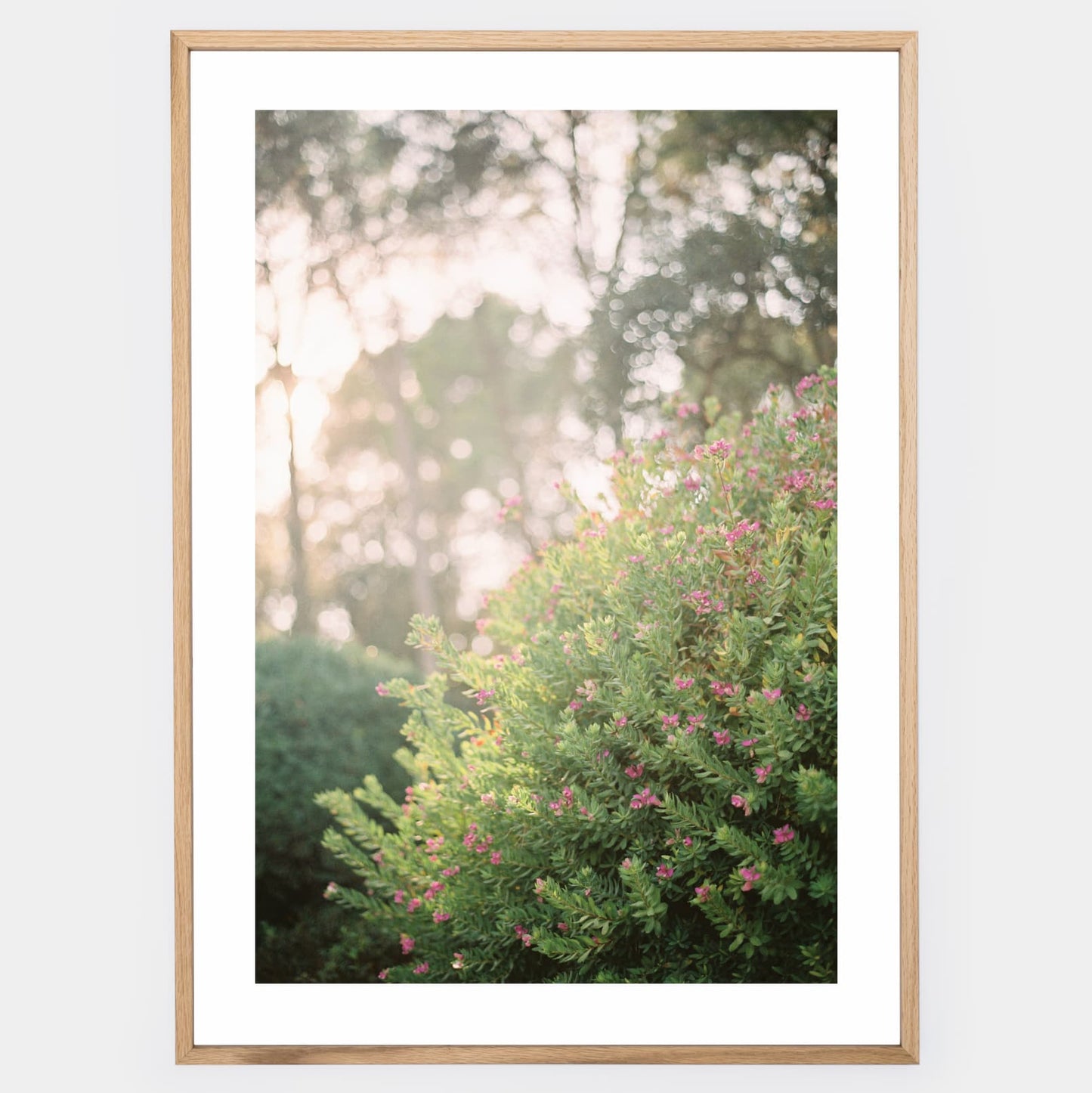 Blooming Dreams Poster