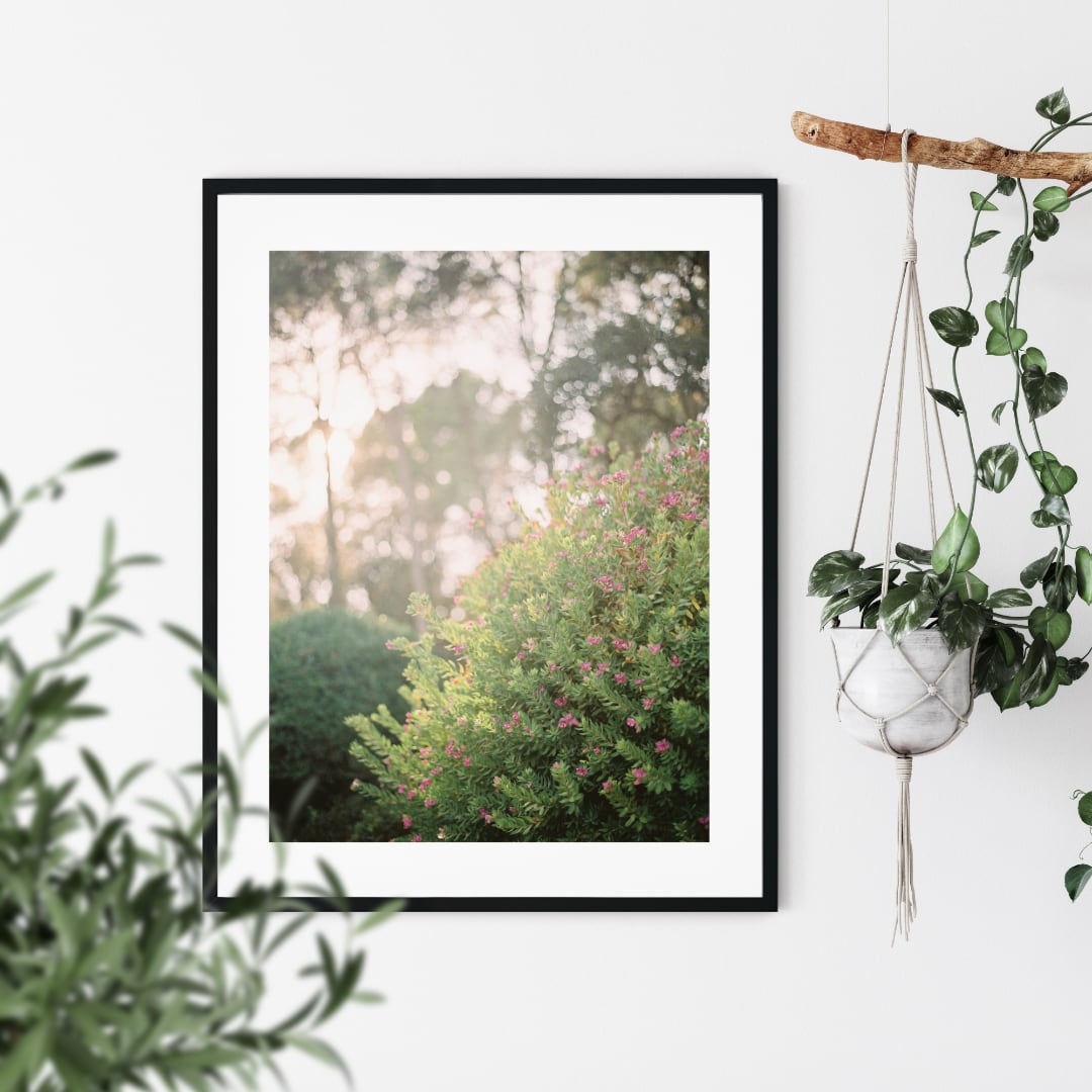 Blooming Dreams Poster