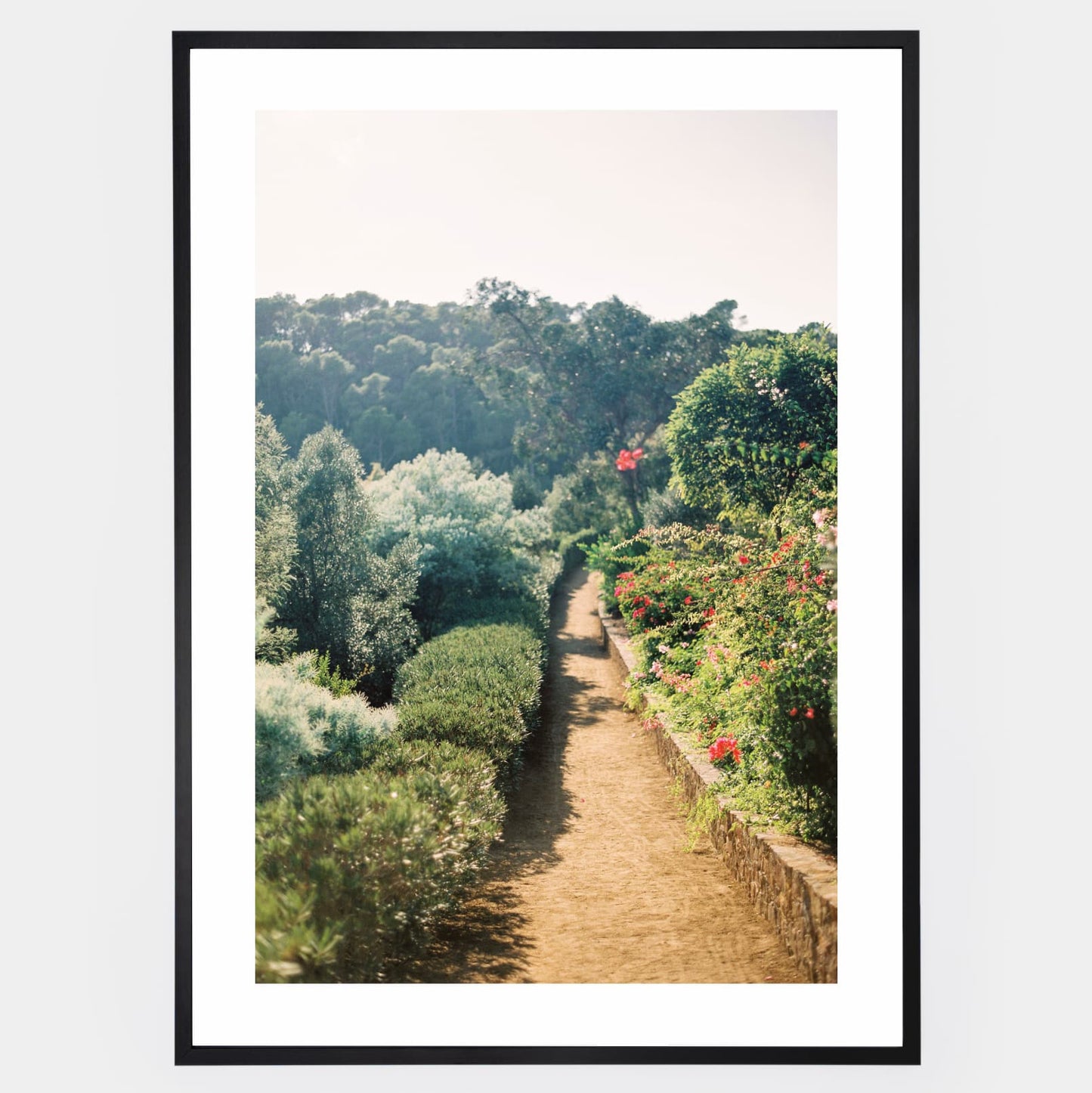 Garden of Dreams poster
