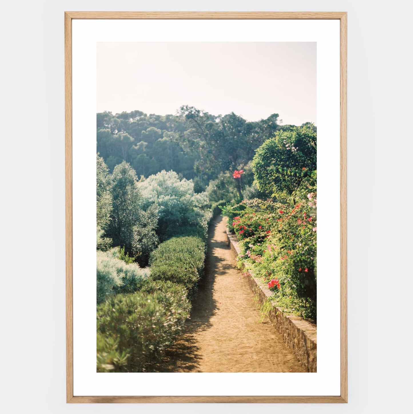 Garden of Dreams poster