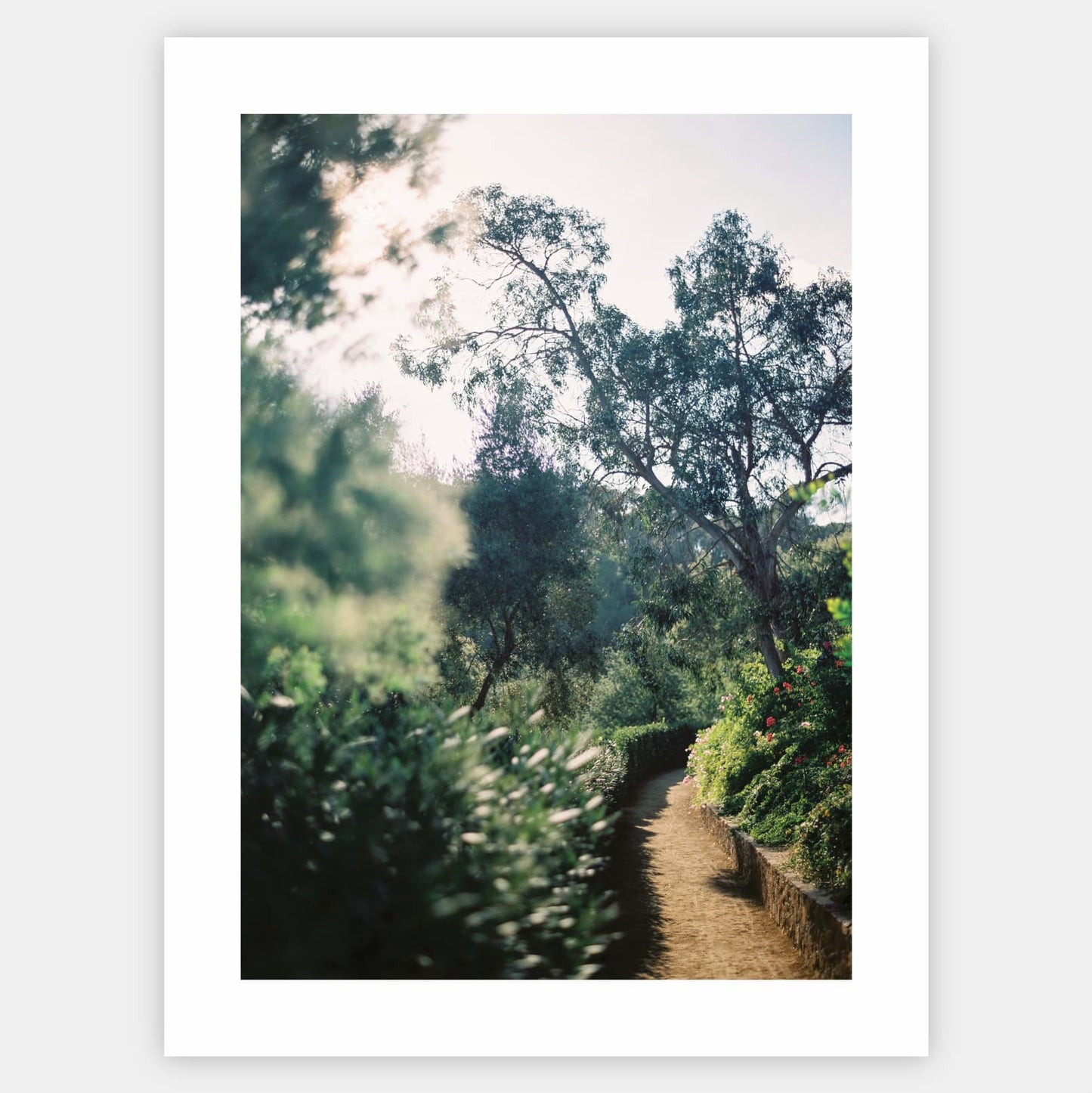 Harmony in Green Poster