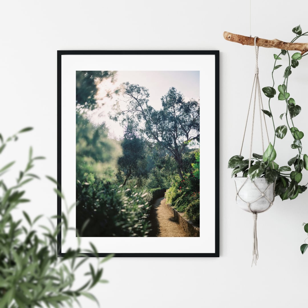 Harmony in Green Poster