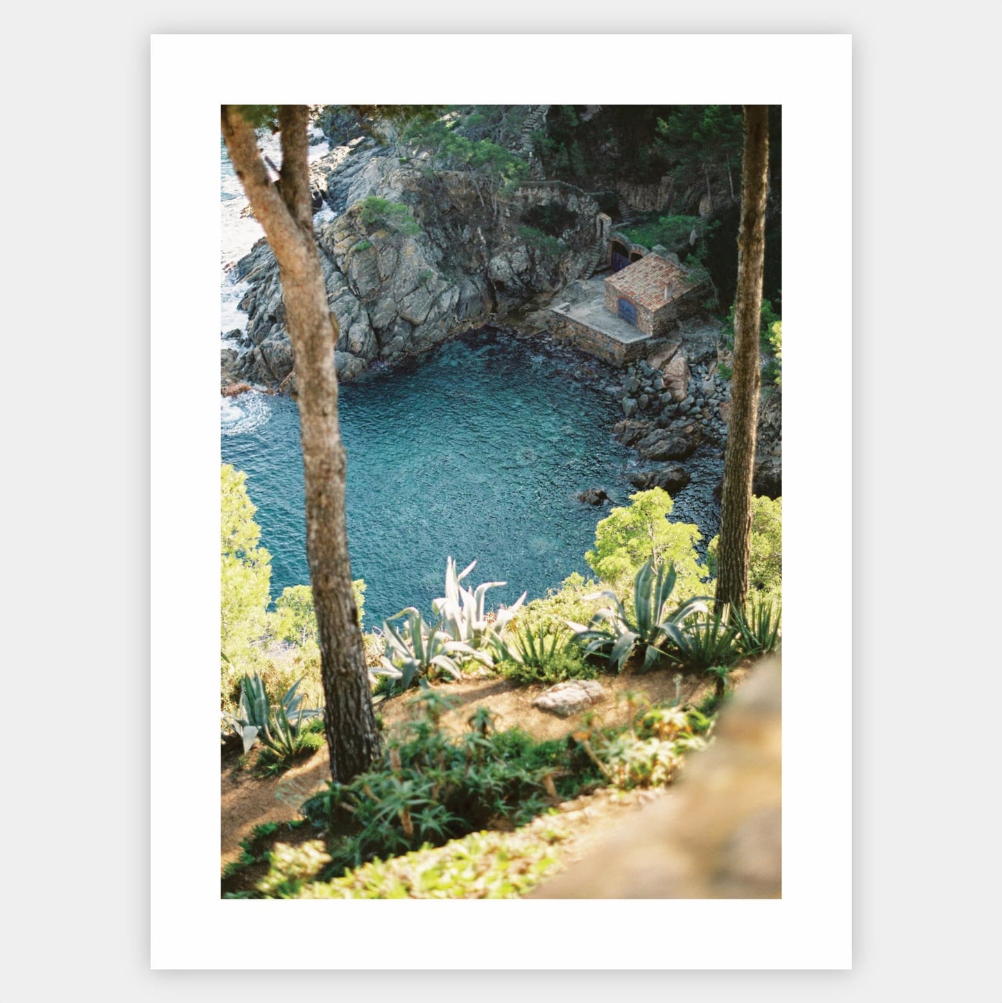 View of the sea cliff poster