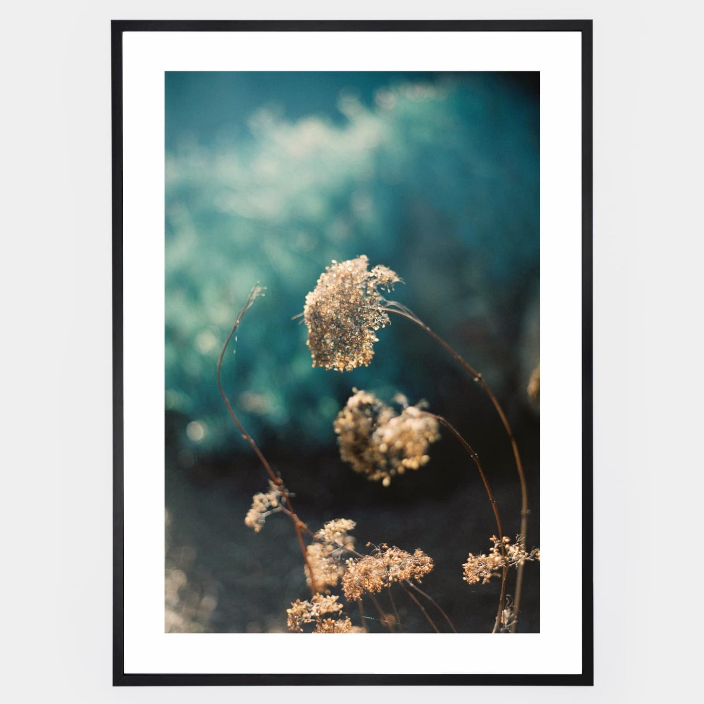 Silent Nature Poster