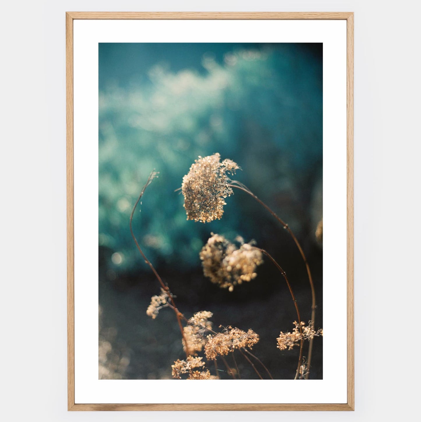 Silent Nature Poster