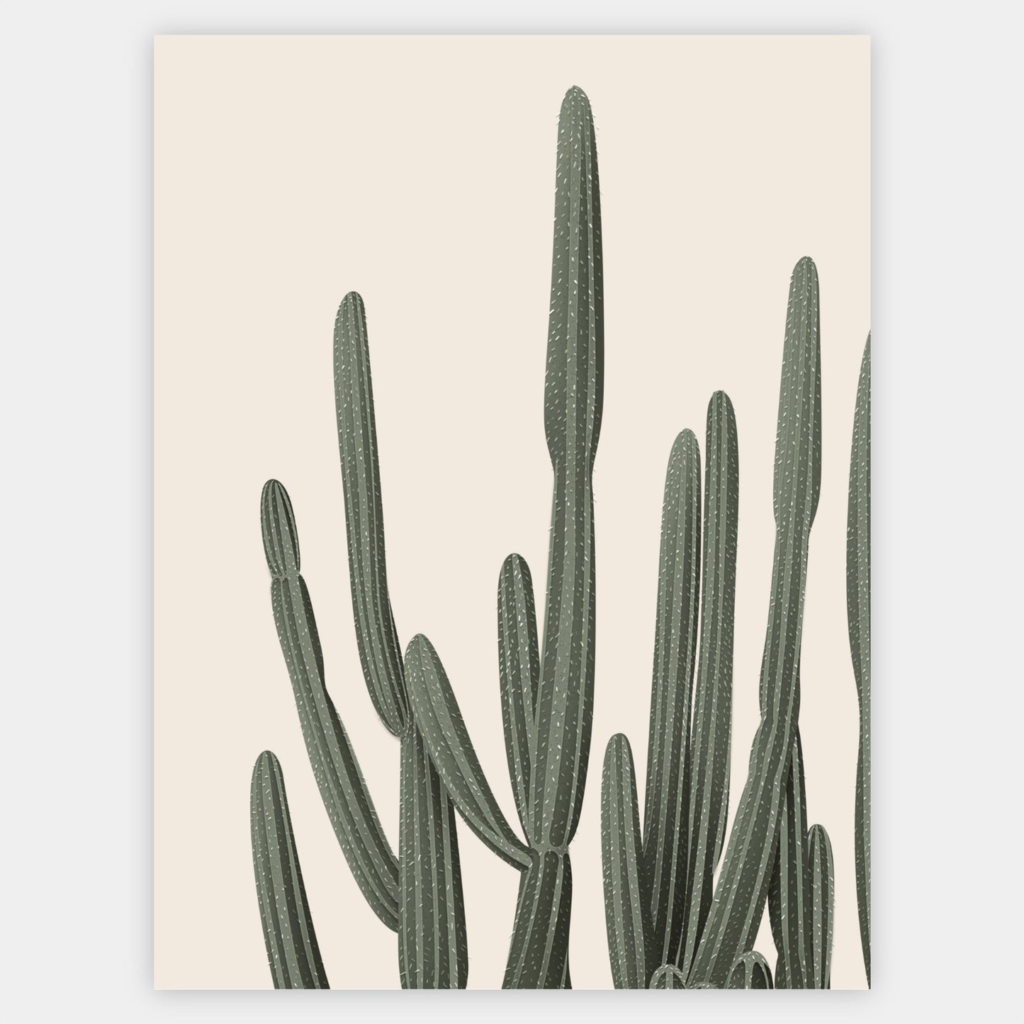 Cactus Duo 1 poster