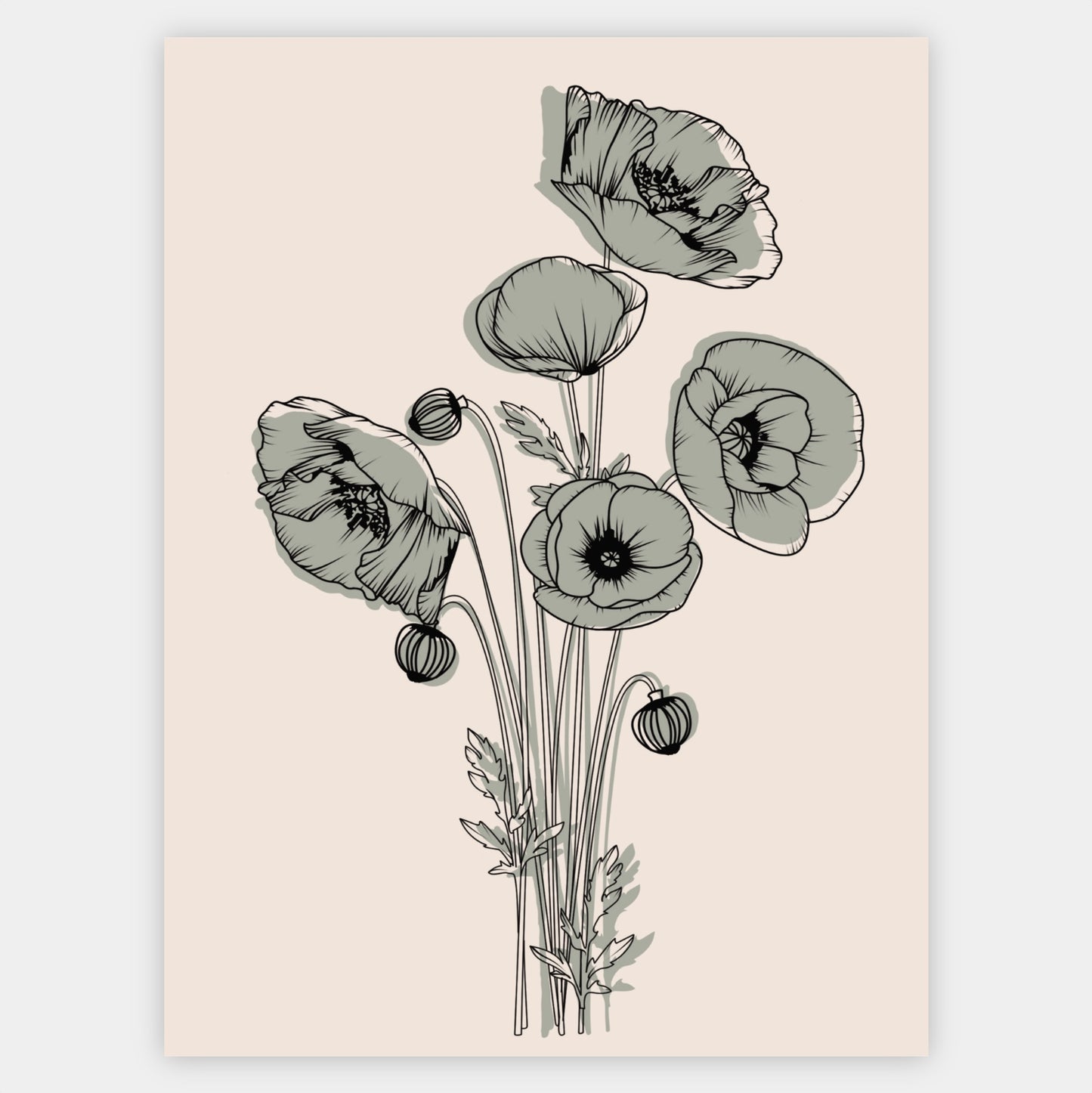 Poppy Flower Poster