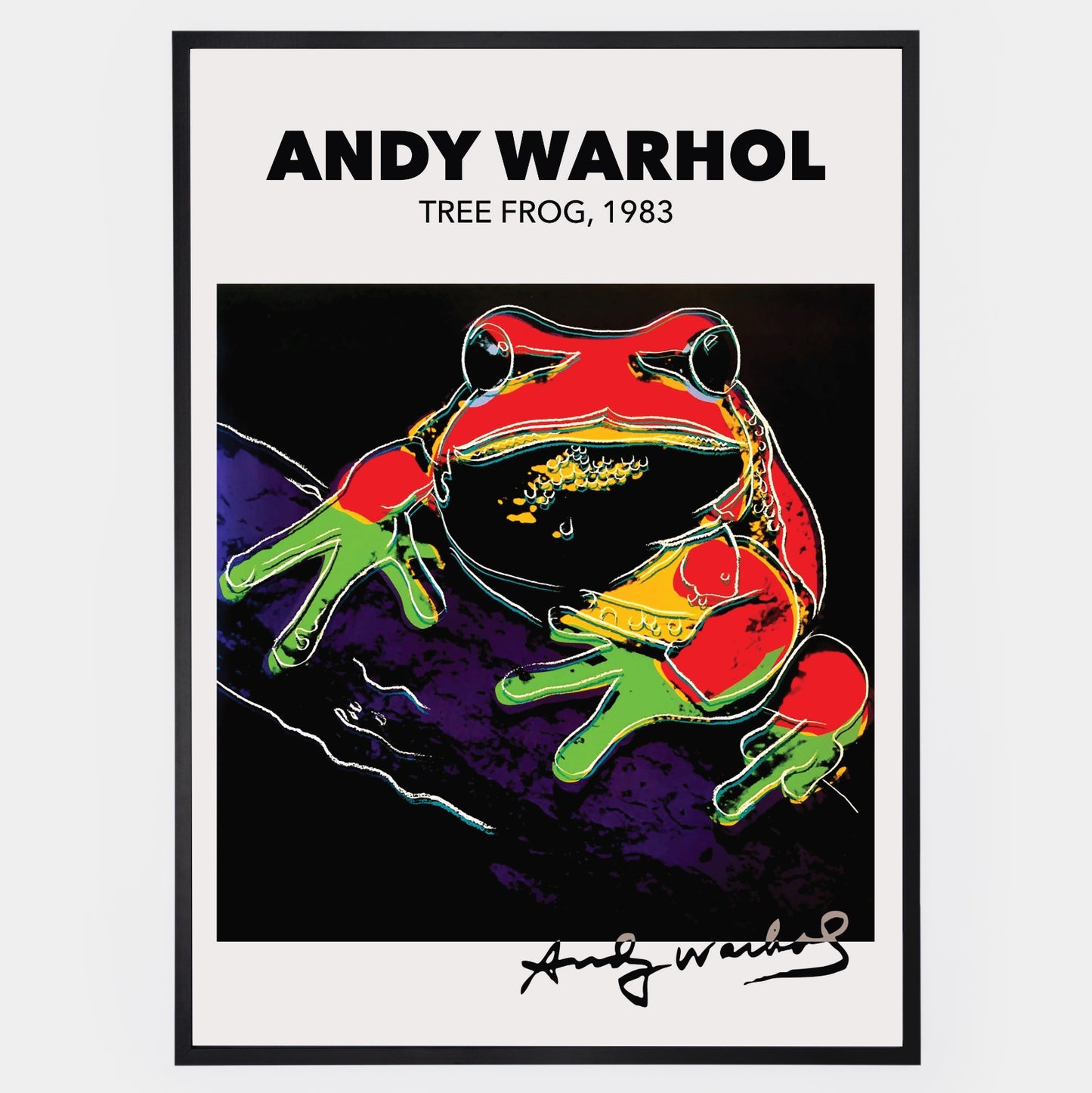 Tree Frog Poster | Andy Warhol