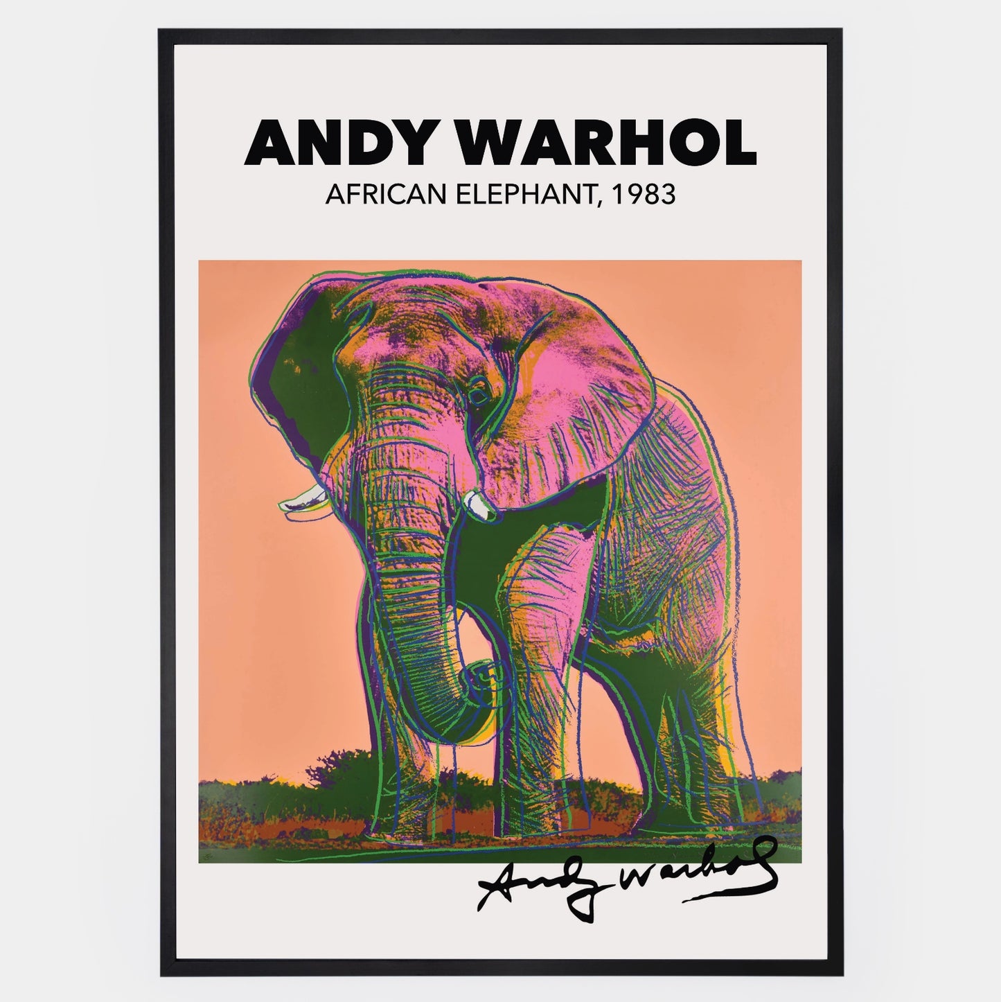 African Elephant Poster | Andy Warhol