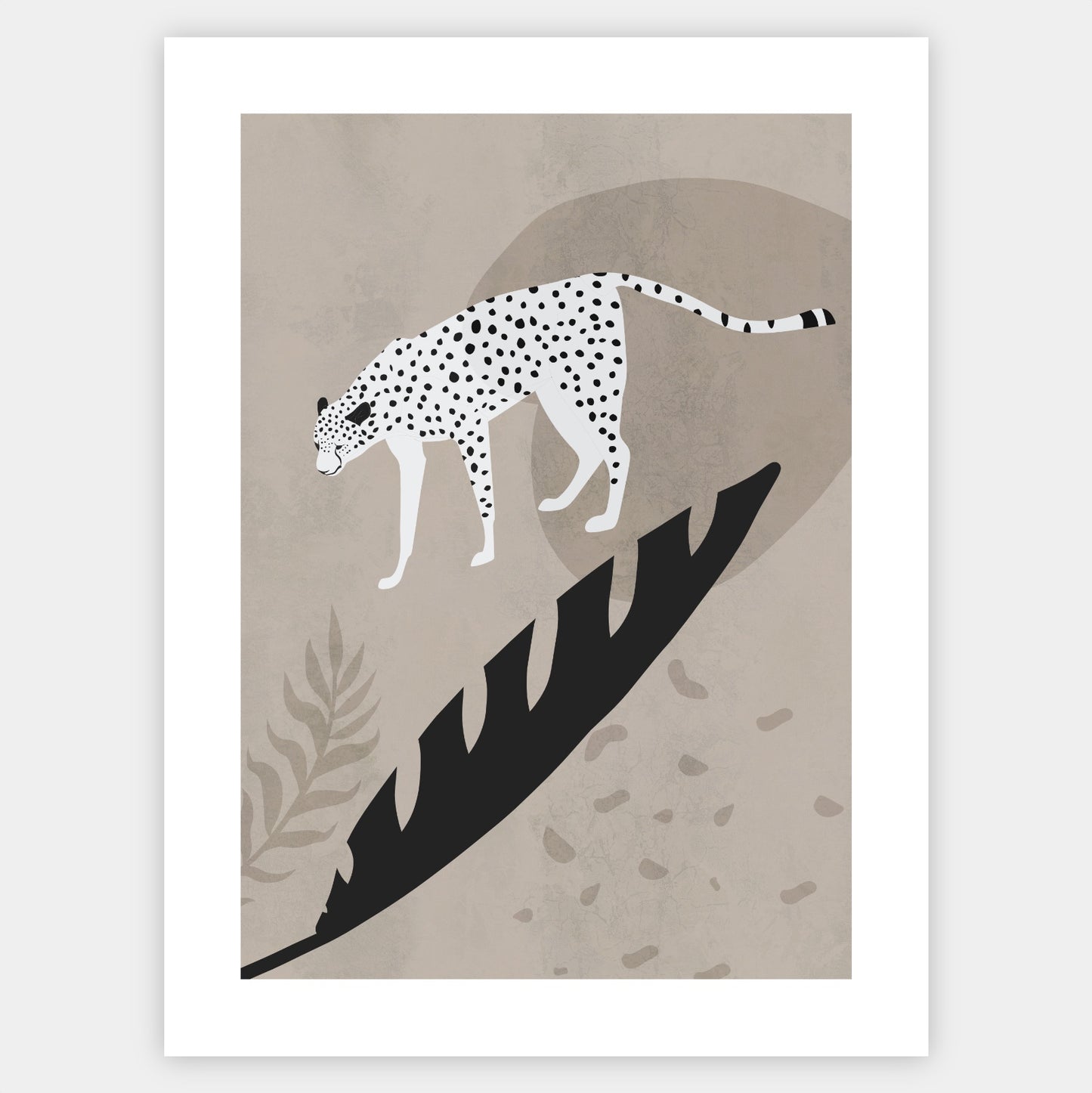 Cheetah Poster