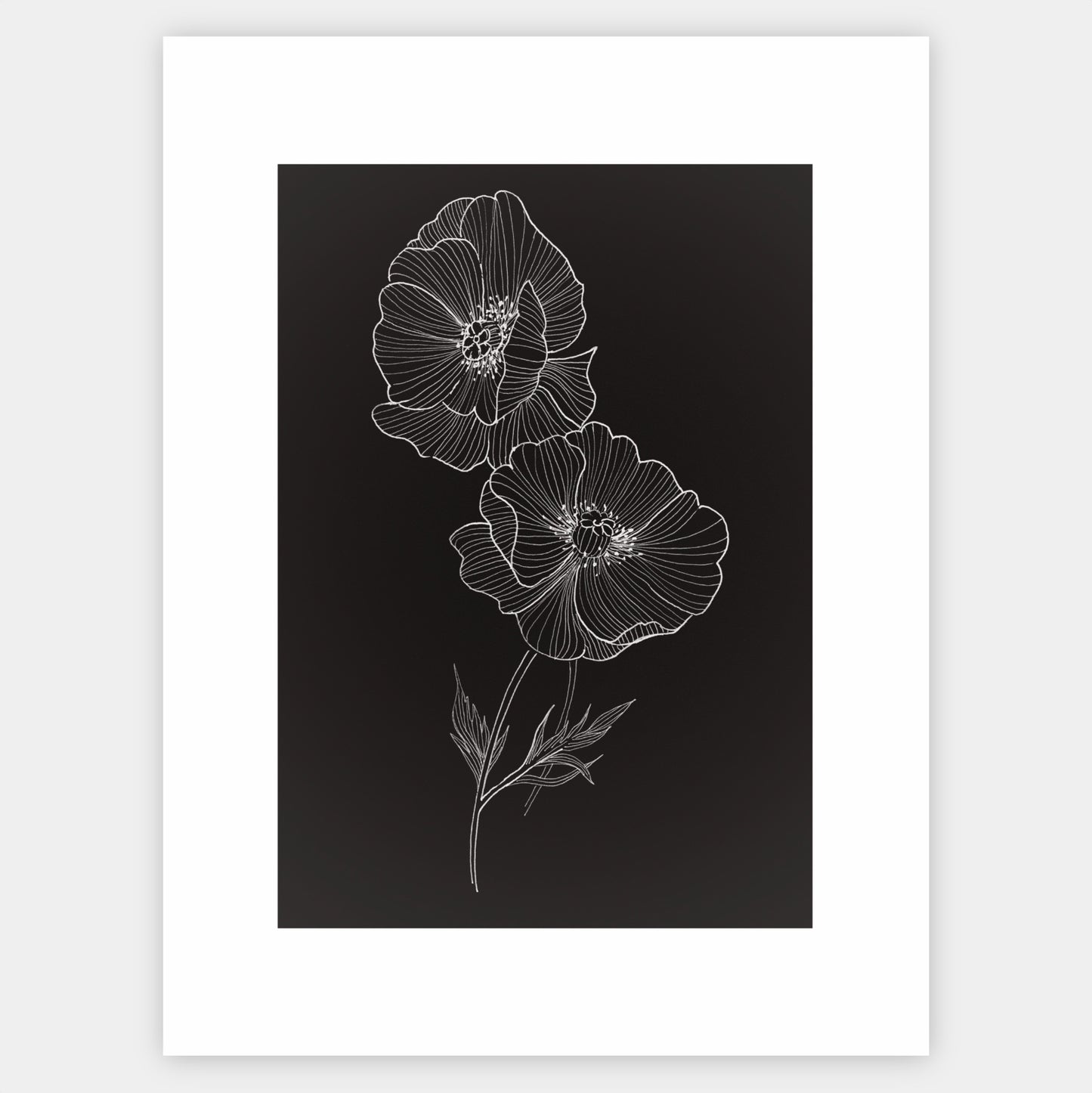 Poster Wild Poppy - painting