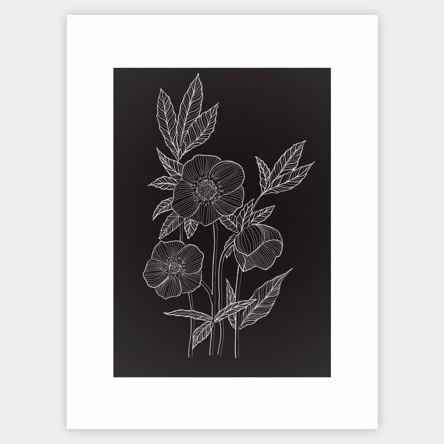 Hellebore poster - painting