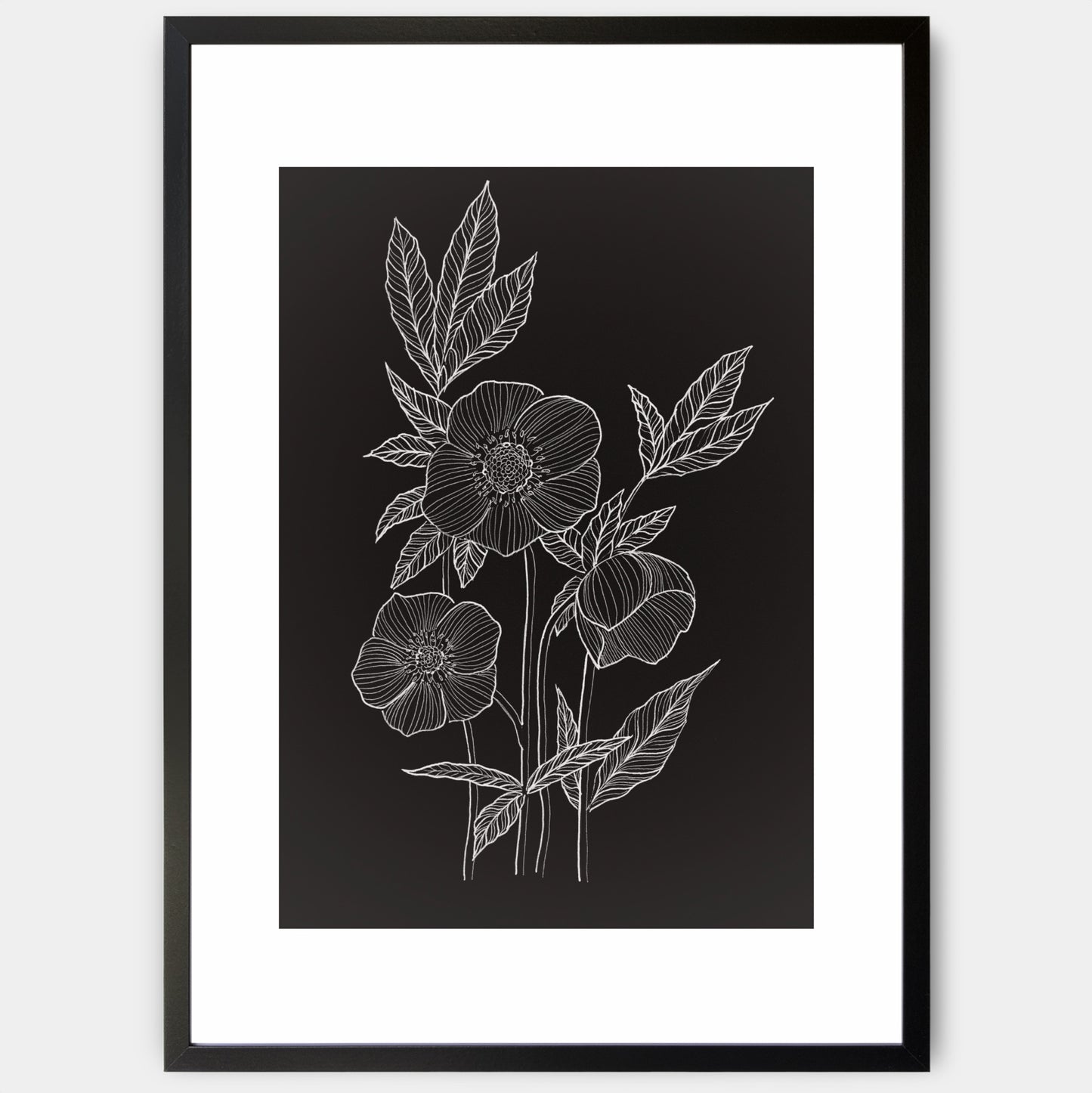 Hellebore poster - painting