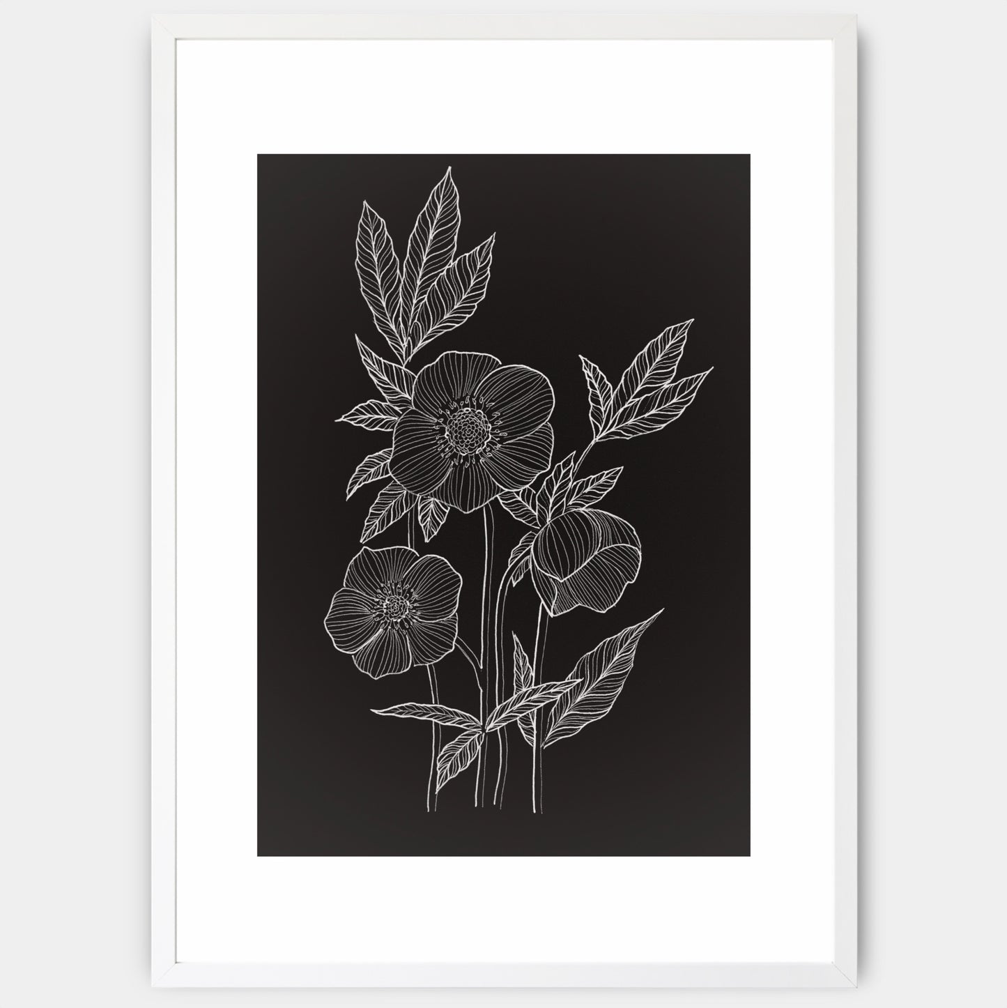 Hellebore poster - painting