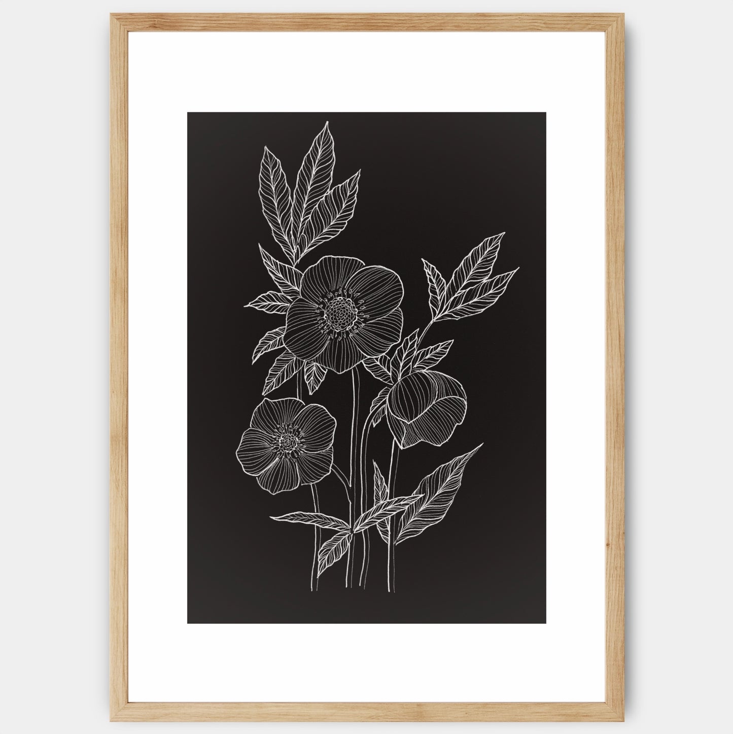 Hellebore poster - painting