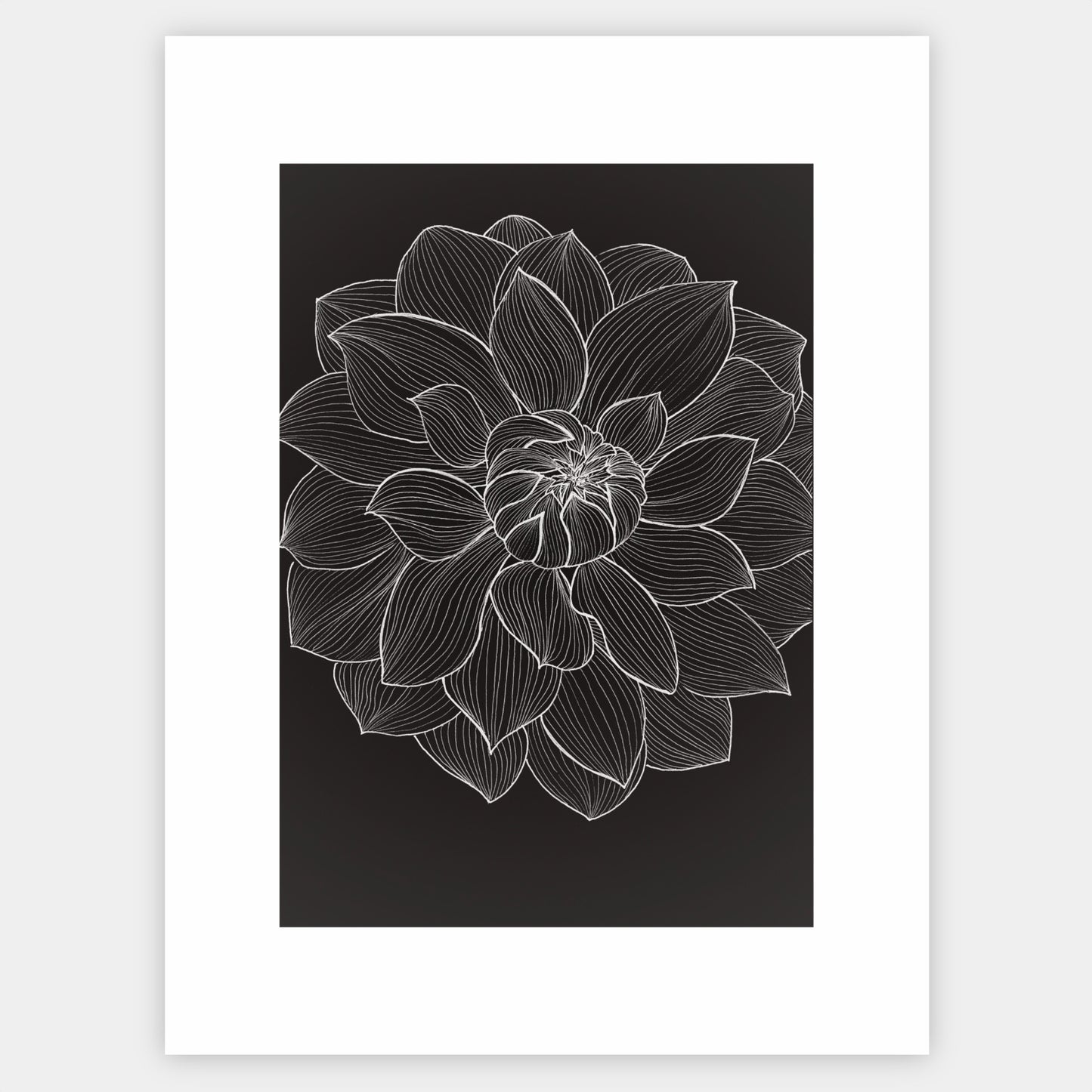 Peony poster - painting